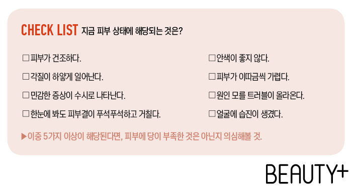 지금 피부 상태에 해당되는 것은?