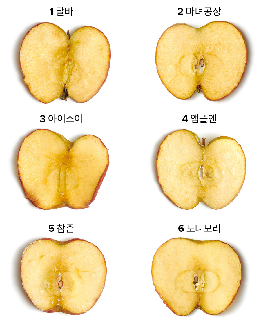 멀티 스틱 밤 비교 실험 피부 장벽 보호 테스트