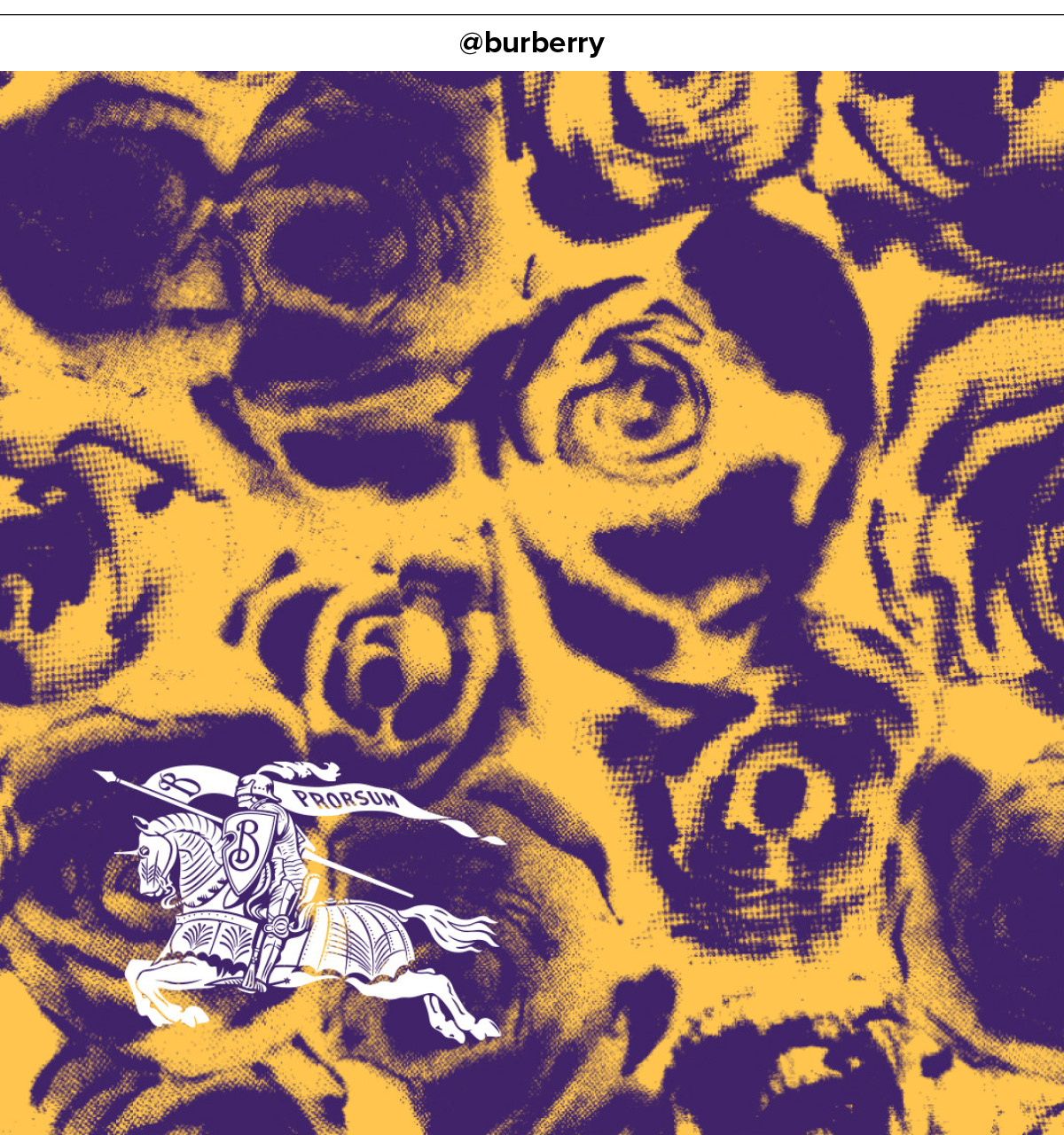 버버리 성수 로즈 팝업스토어