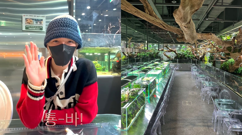 아쿠아가든카페 롯데월드몰점