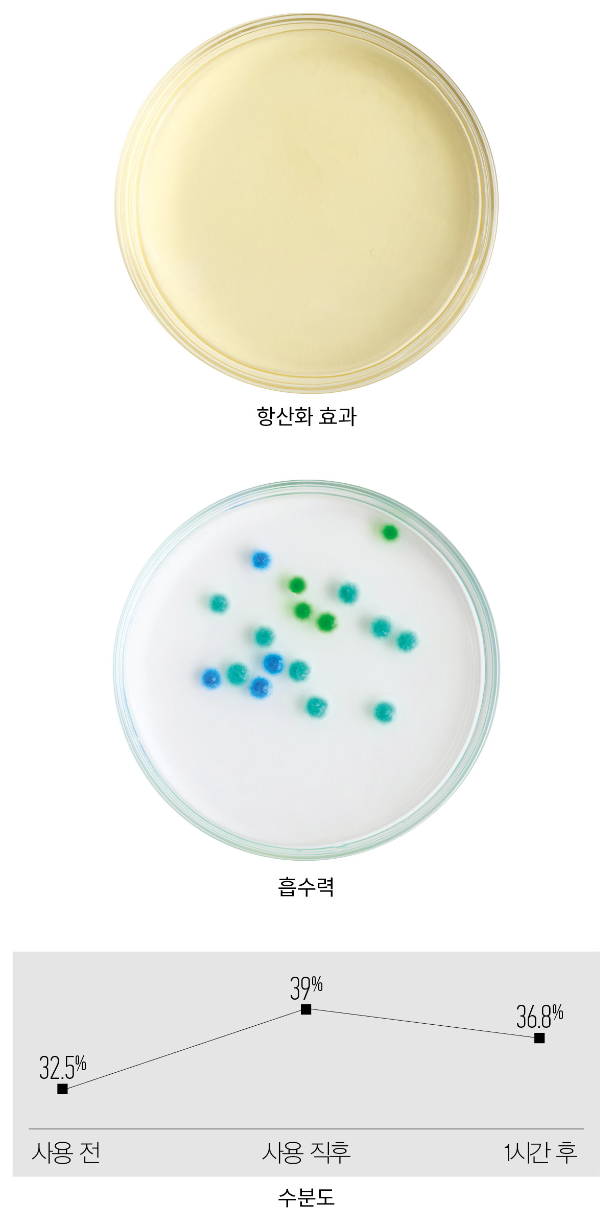 샹테카이 로즈 드 메이 아이 리프트 실험 결과