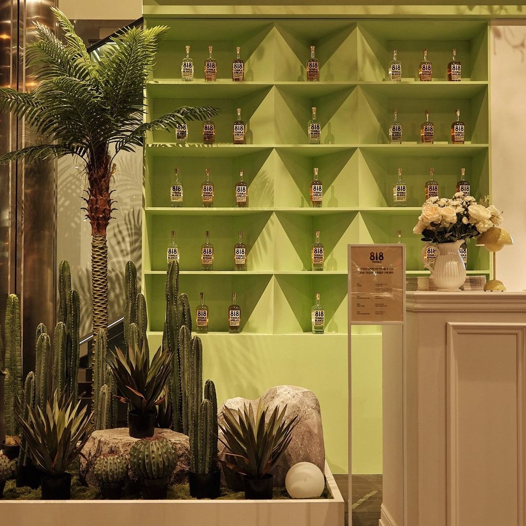 국내에도 런칭한 켄달 제너의 818 데킬라