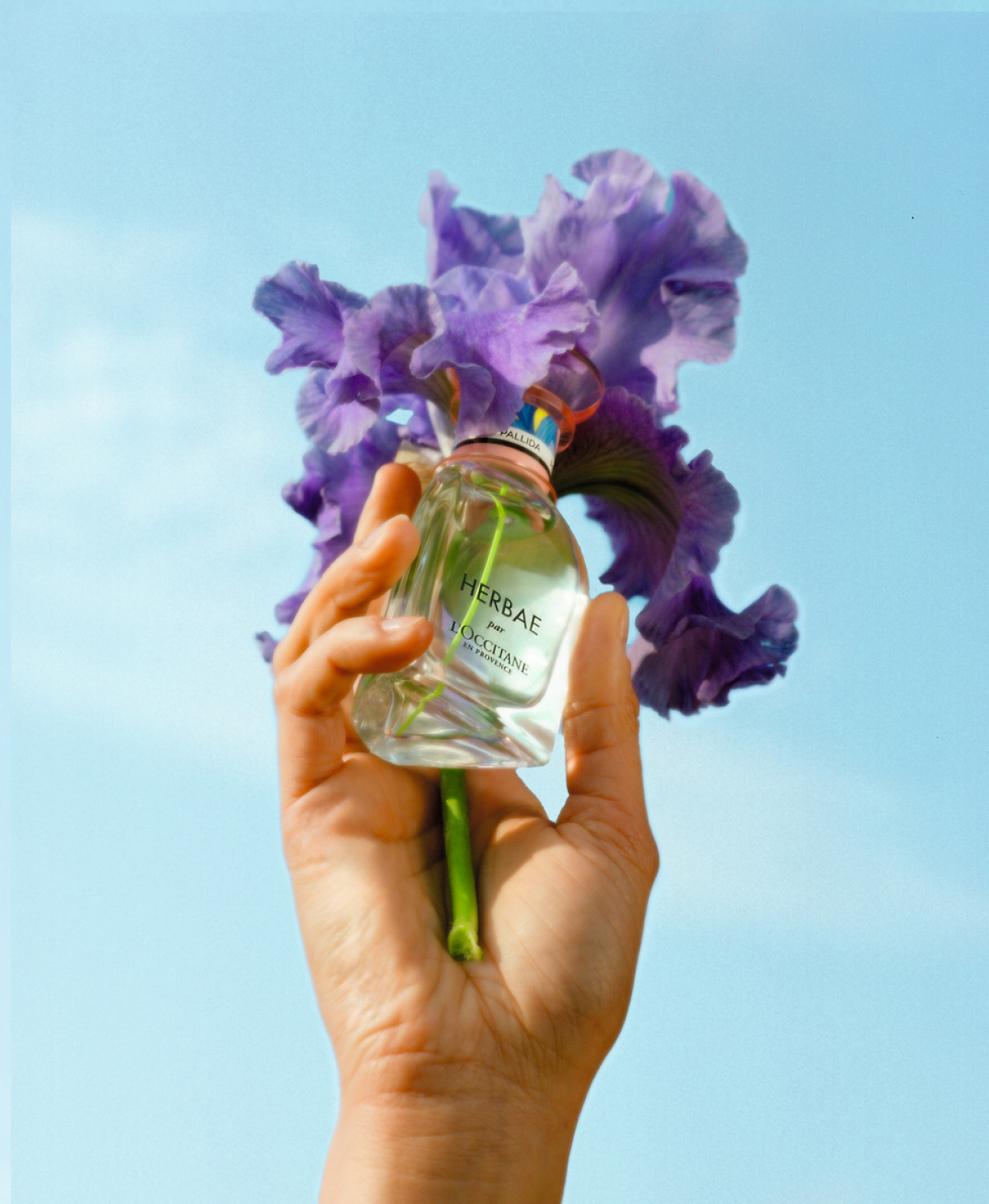 4월 26일 출시 예정인 록시땅 한정판 향수 ‘에르베 아이리스 팰리다 오 드 뚜왈렛’