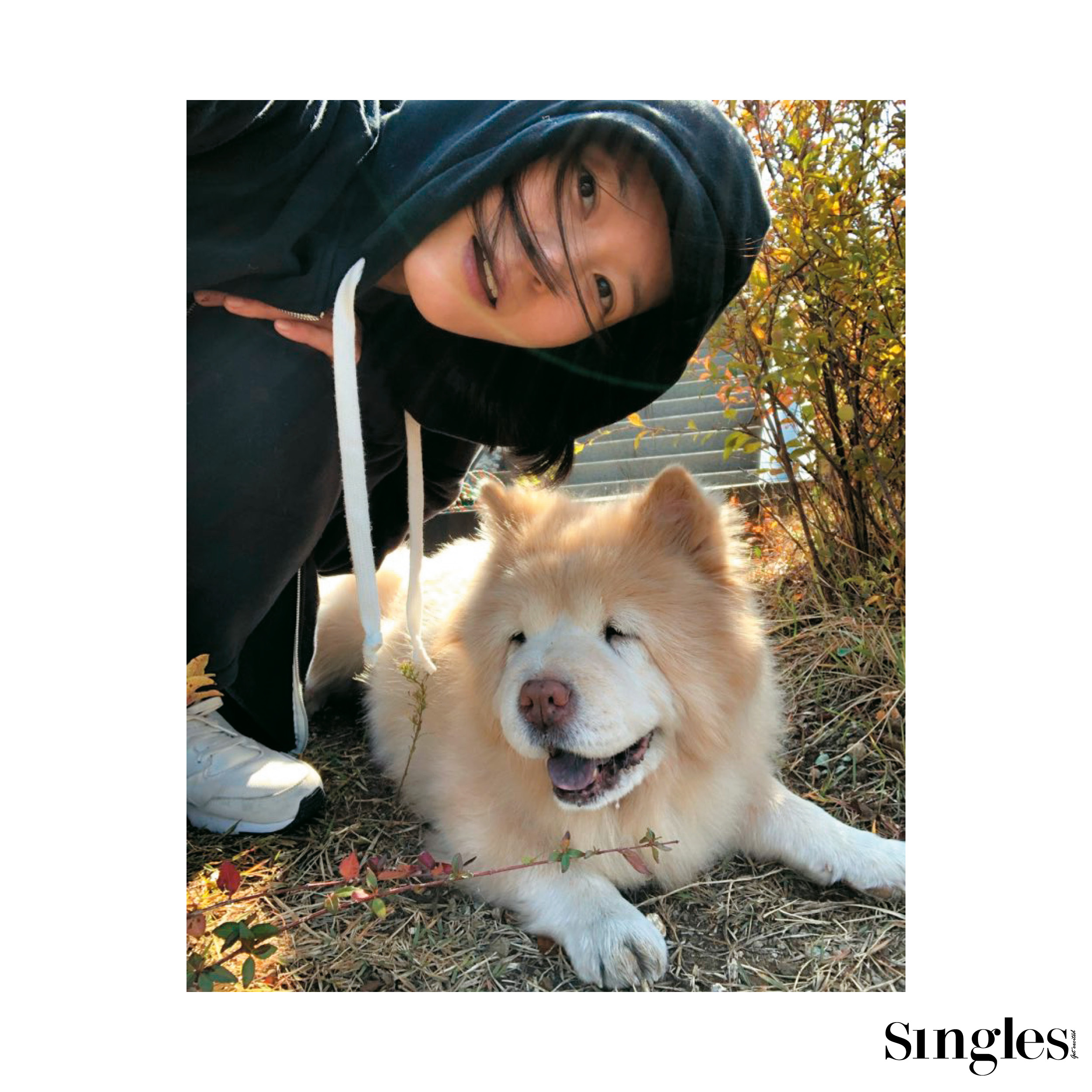 이영진과 크림이