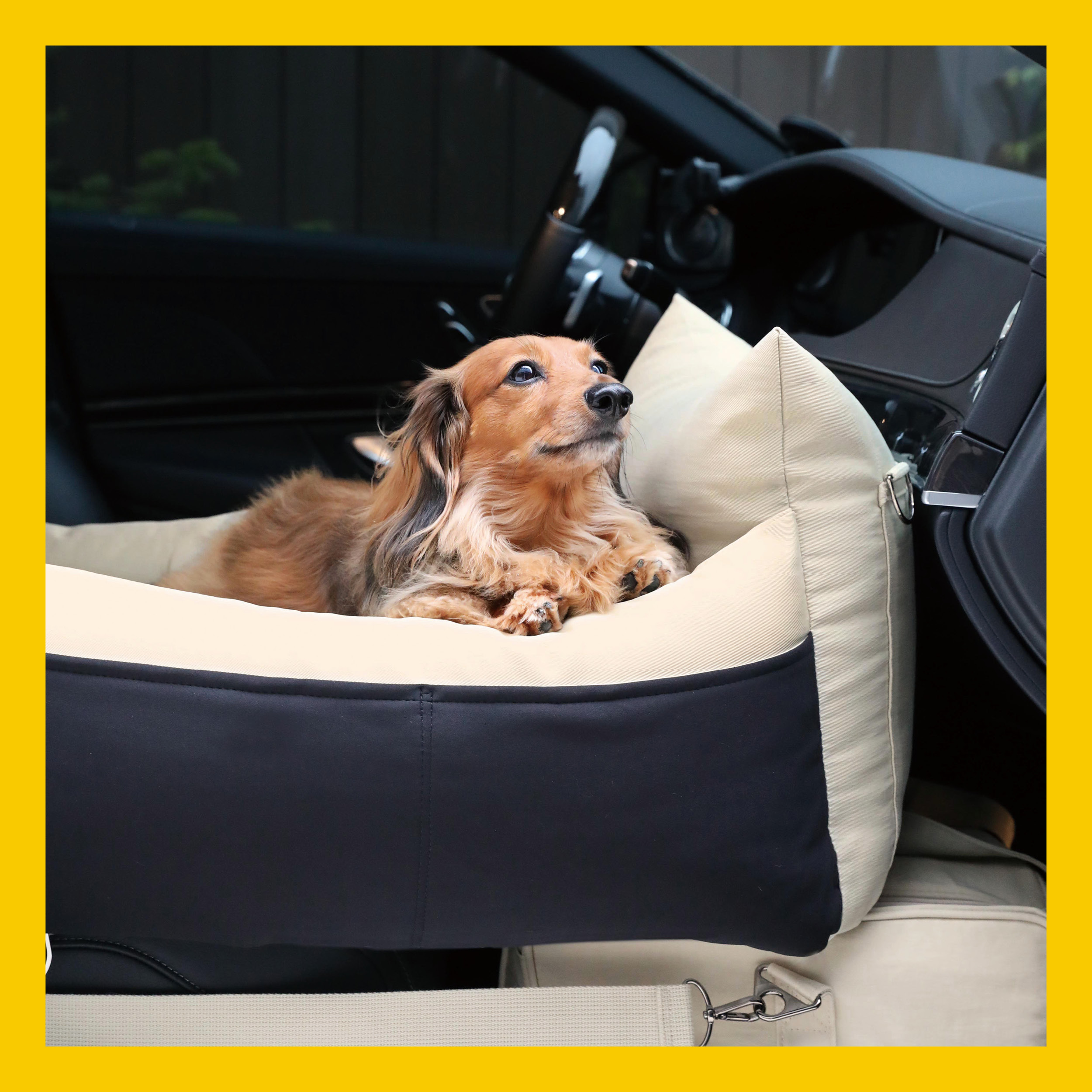 하이드앤울프, 세이프 트래블백