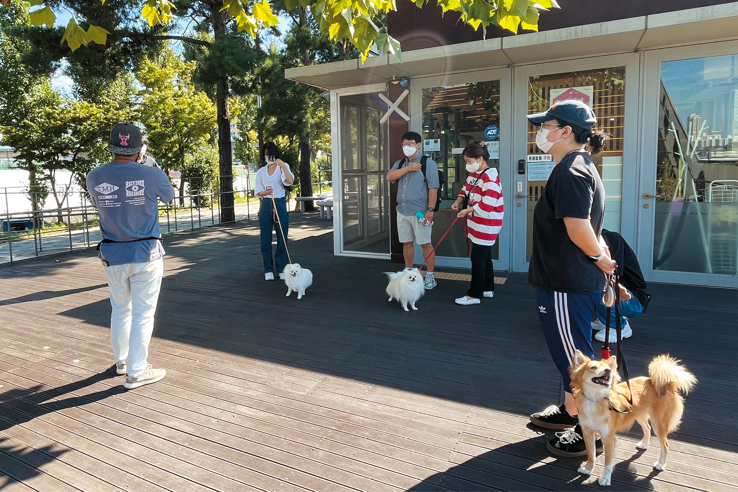 반려동물 시민학교