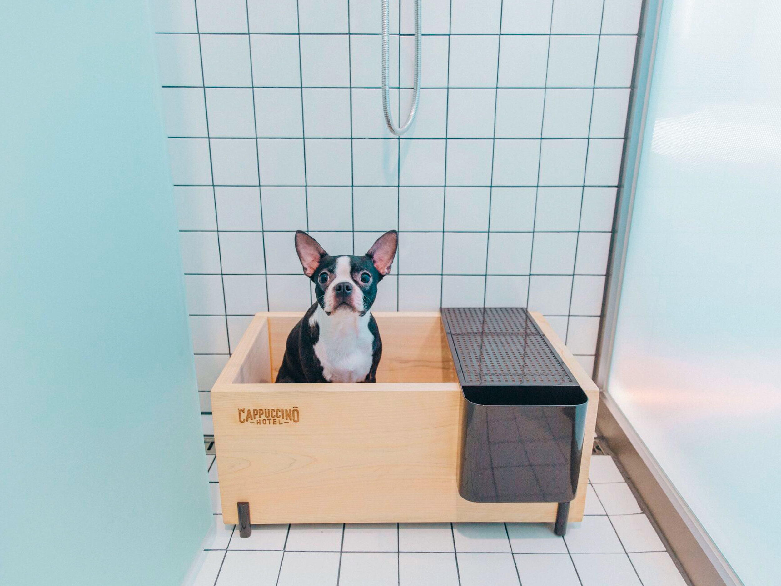 호텔 카푸치노 펫 프렌들리