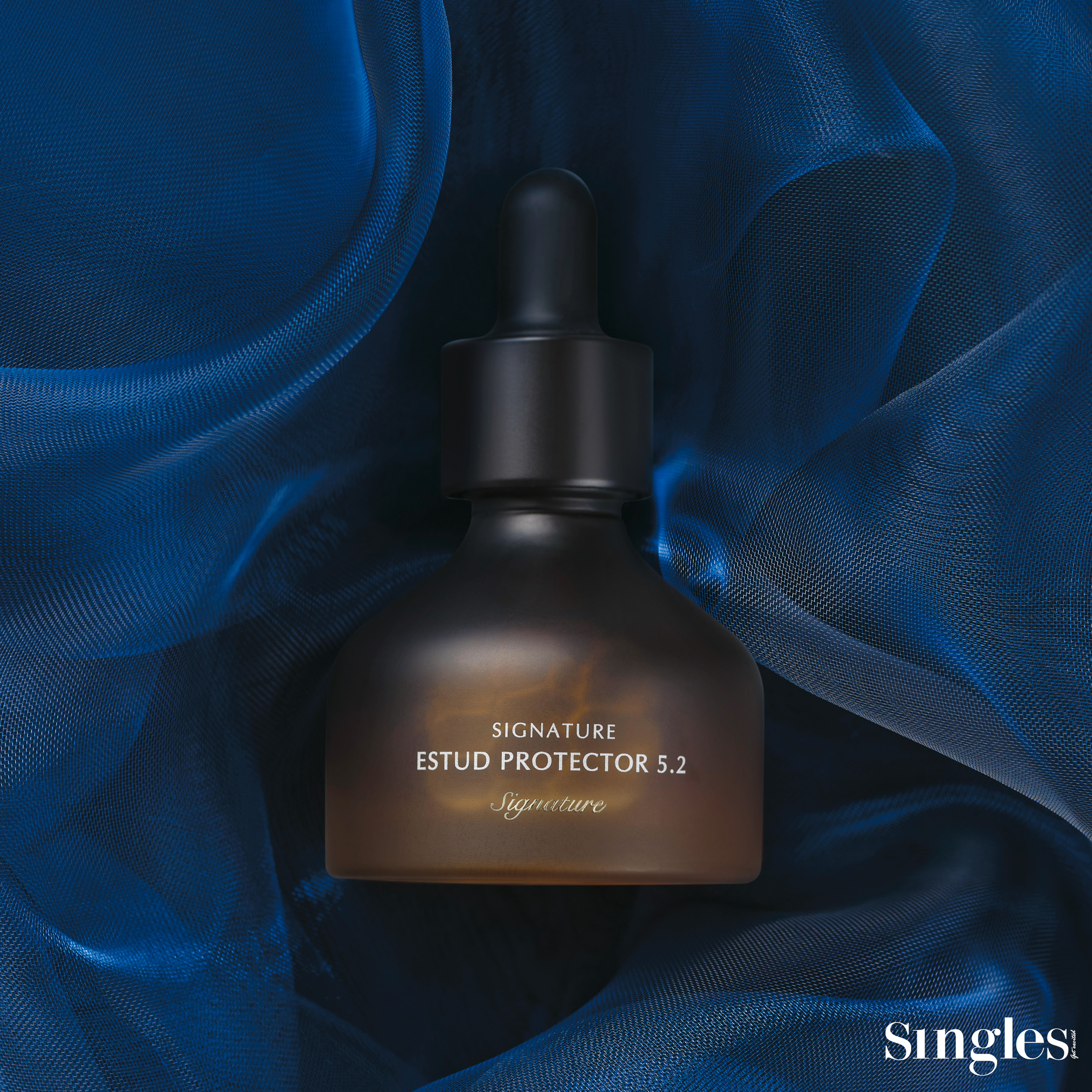 디마르3 시그니처 에스투드 프로텍터 5.2 미니