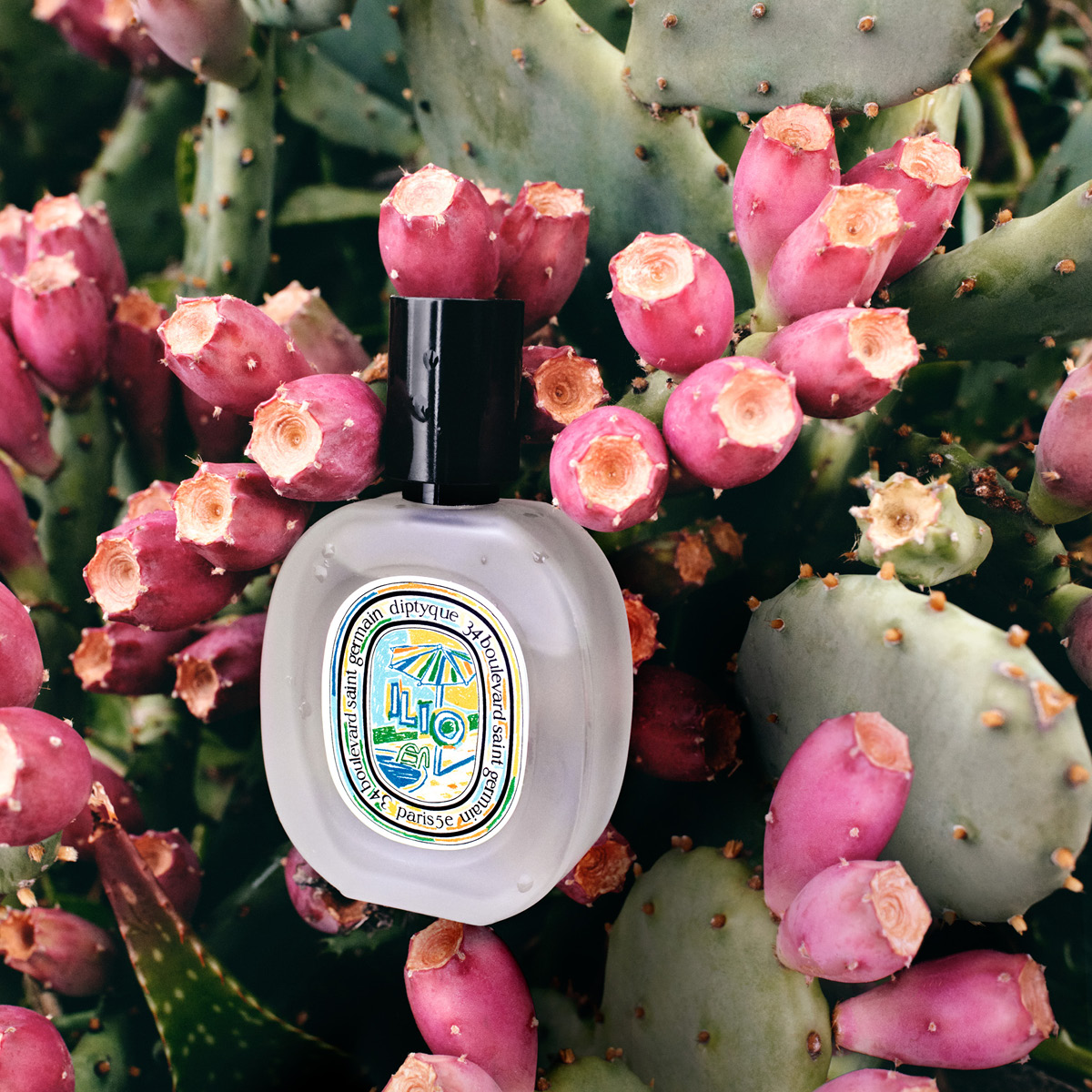 딥티크 일리오(Ilio) 헤어 미스트