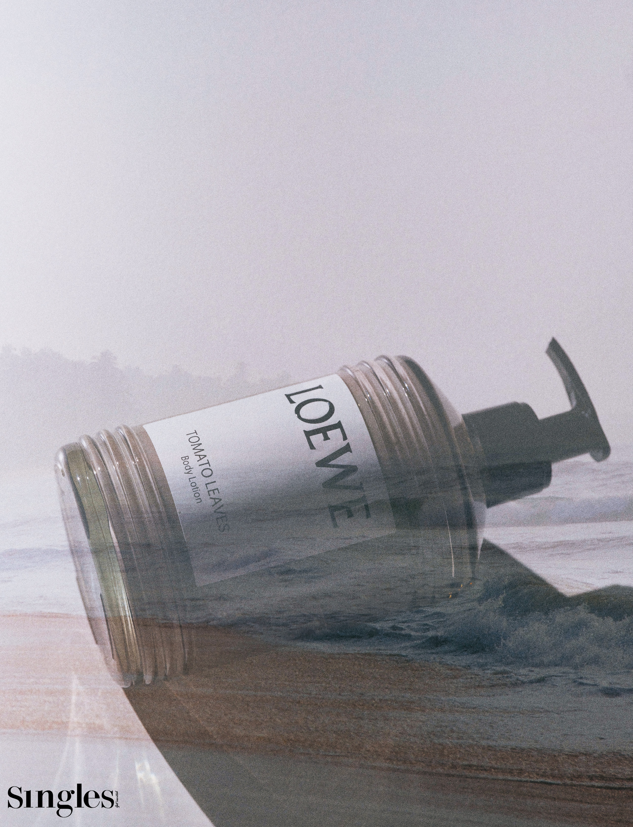 로에베 토마토 리프 바디 로션