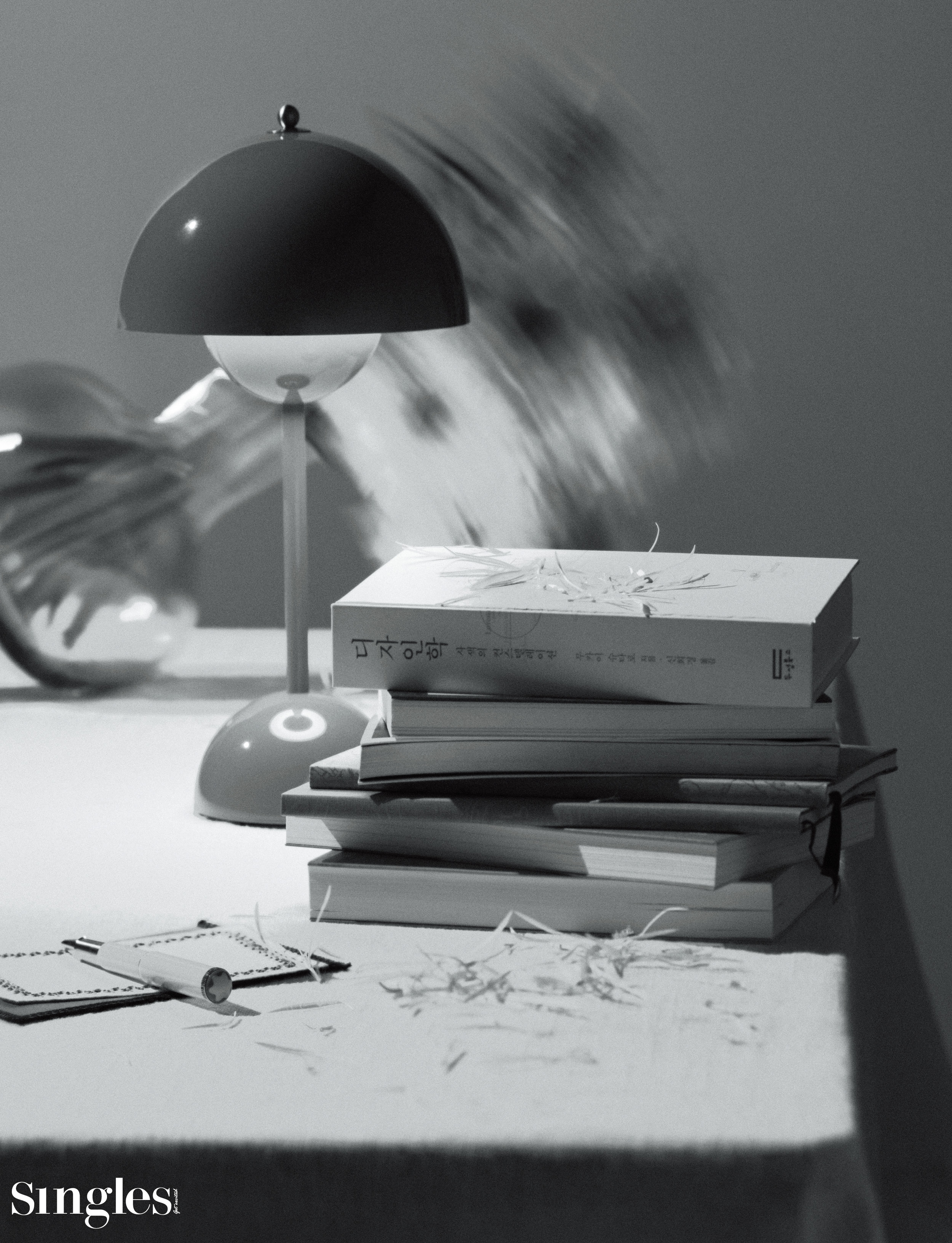 싱글즈, 싱글즈 특집 기사, 독서 특집, 몽블랑, &TRADITION by 이노메싸, 아르켓