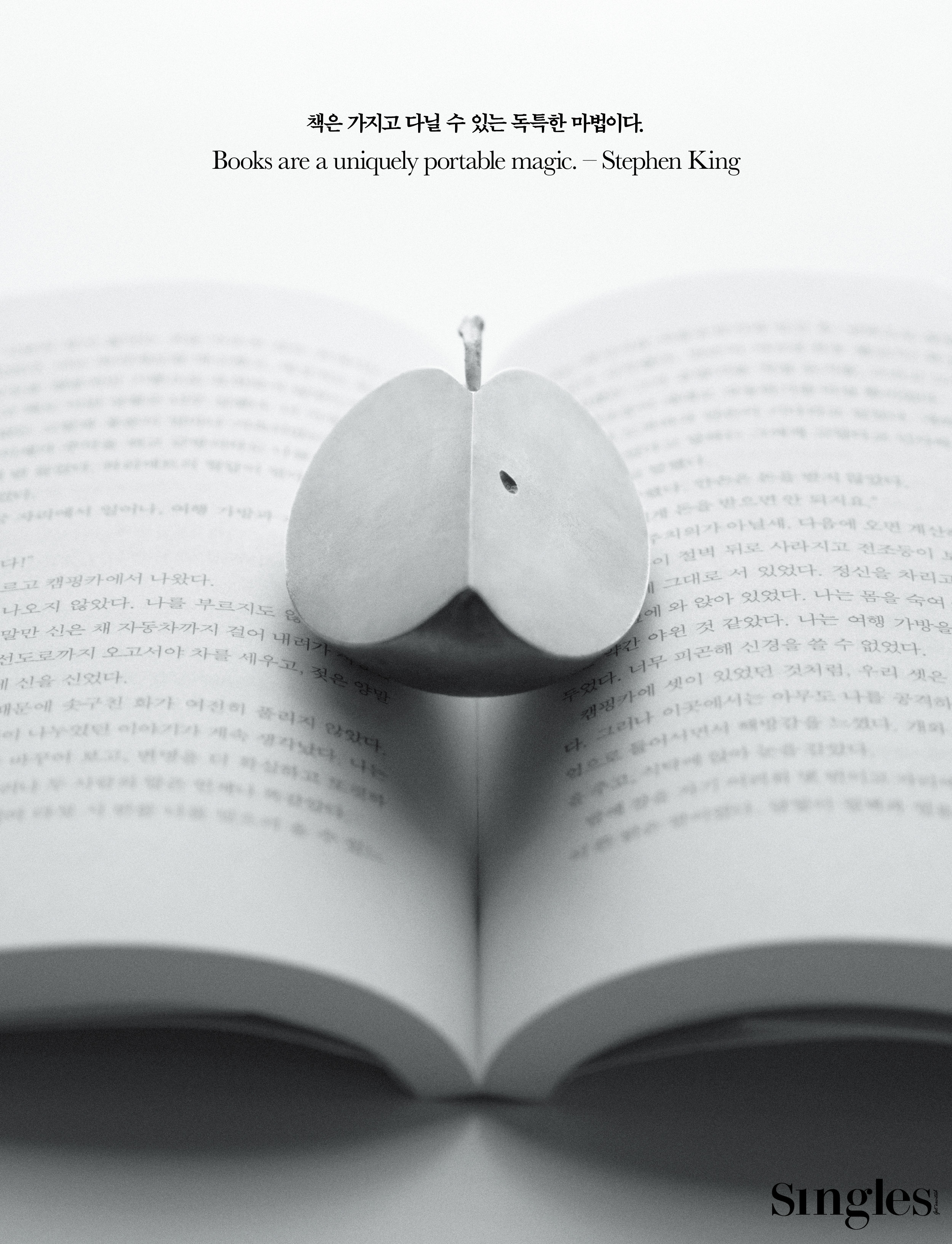 싱글즈, 싱글즈 특집 기사, 독서 특집, GRAF by 포인트오브뷰