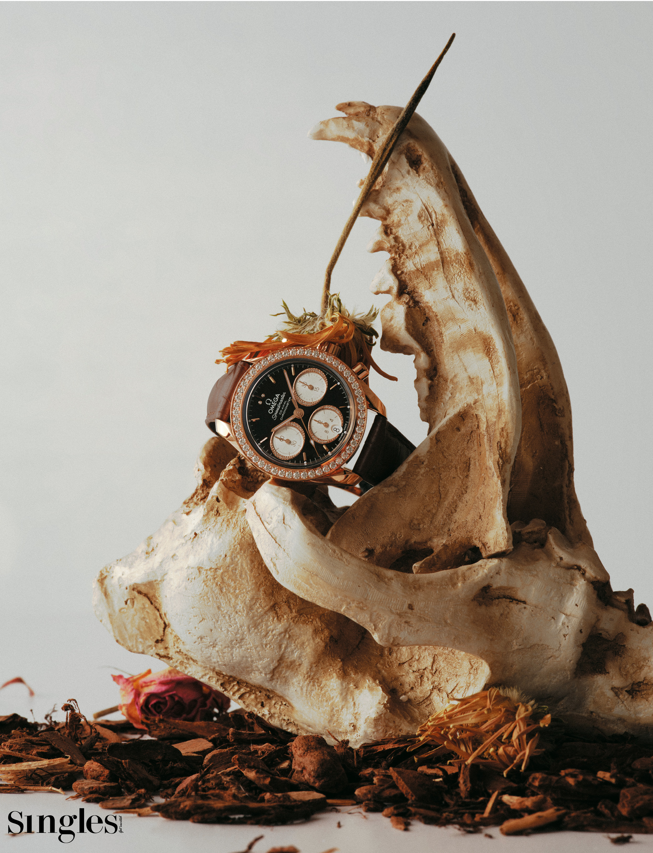패션 화보, 시계, 하이엔드 워치, 오메가