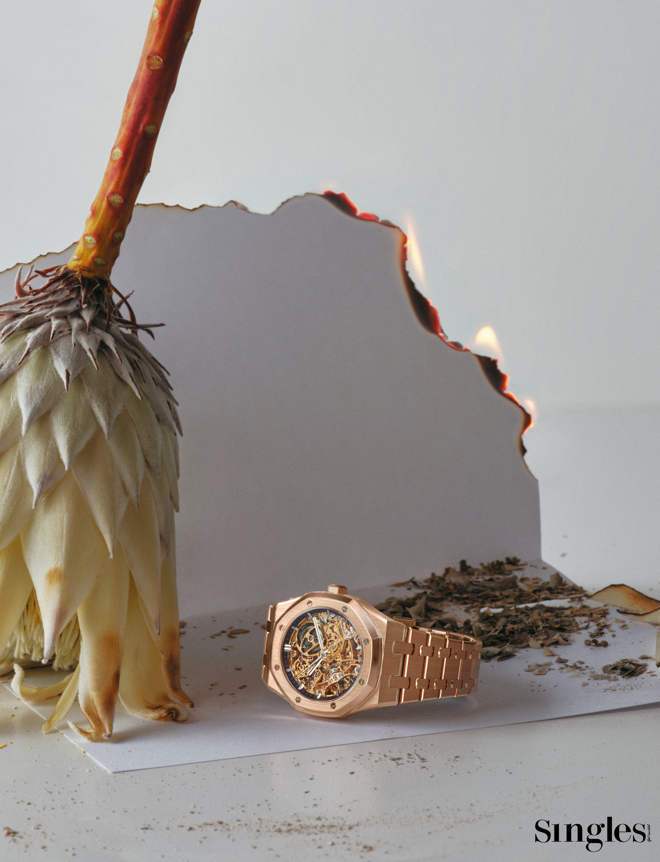 패션 화보, 시계, 하이엔드 워치, 오데마 피게