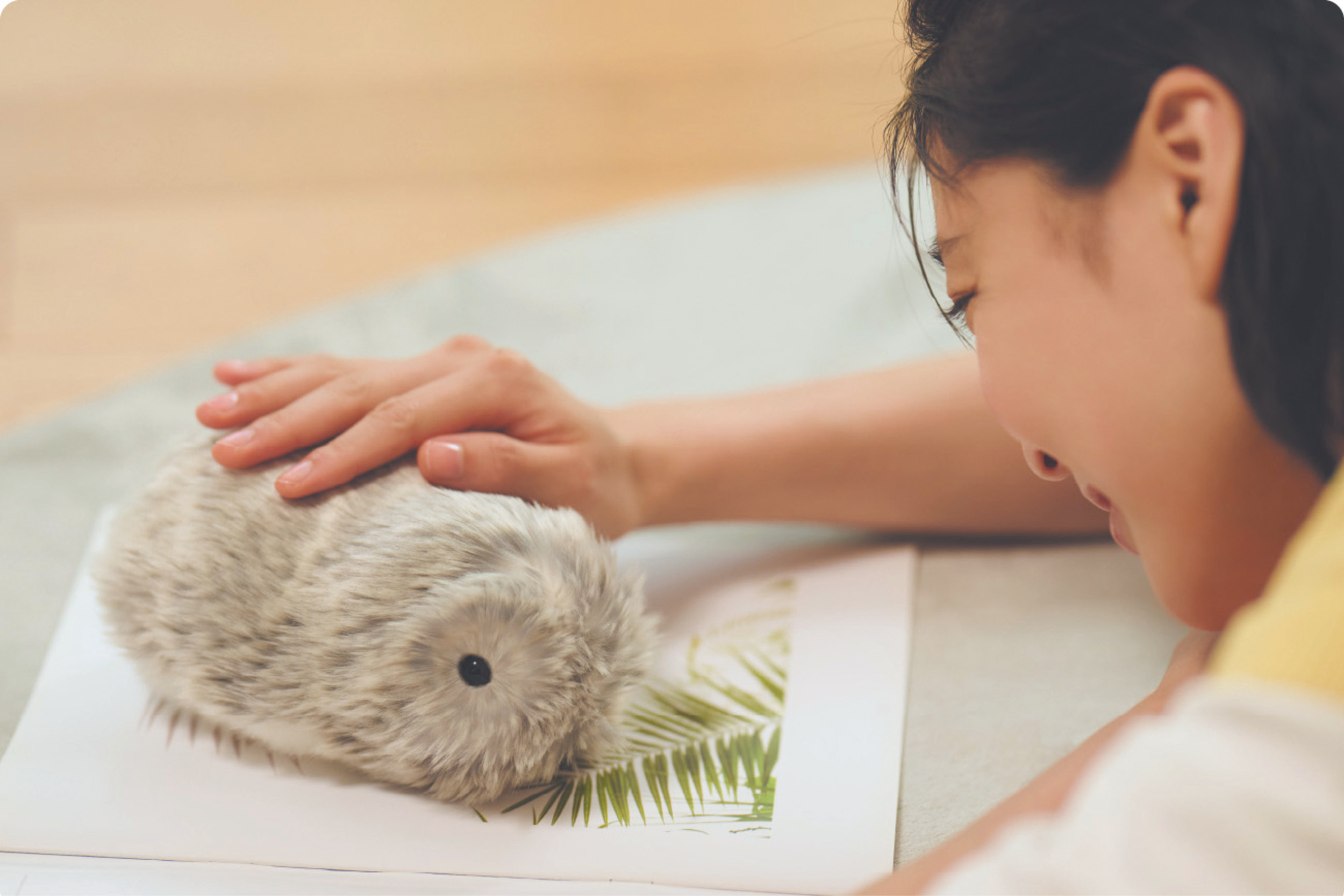 싱글즈 특집 기사, 싱글, 비혼, 모플린