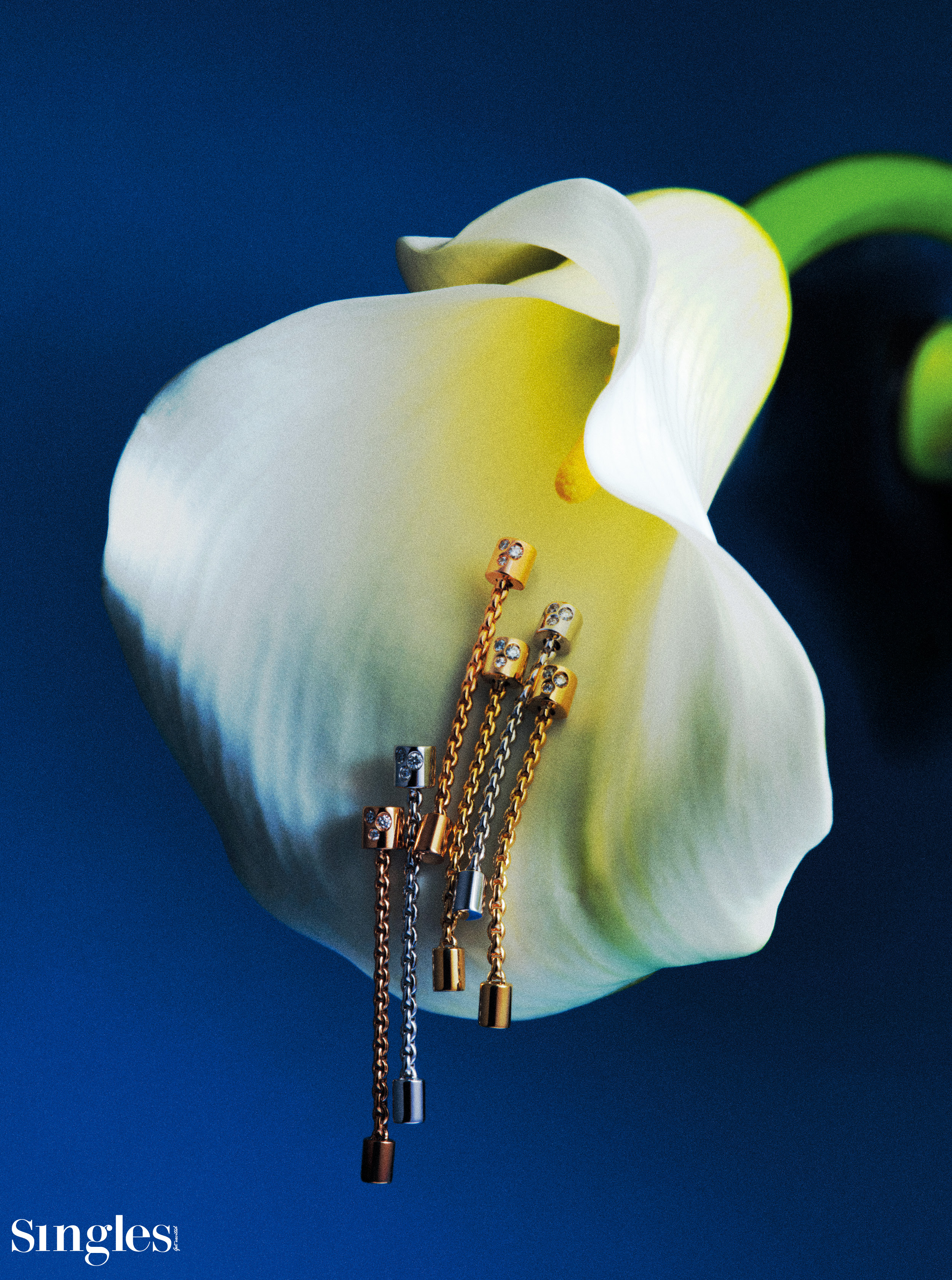 아리아 컬렉션, 포페 주얼리