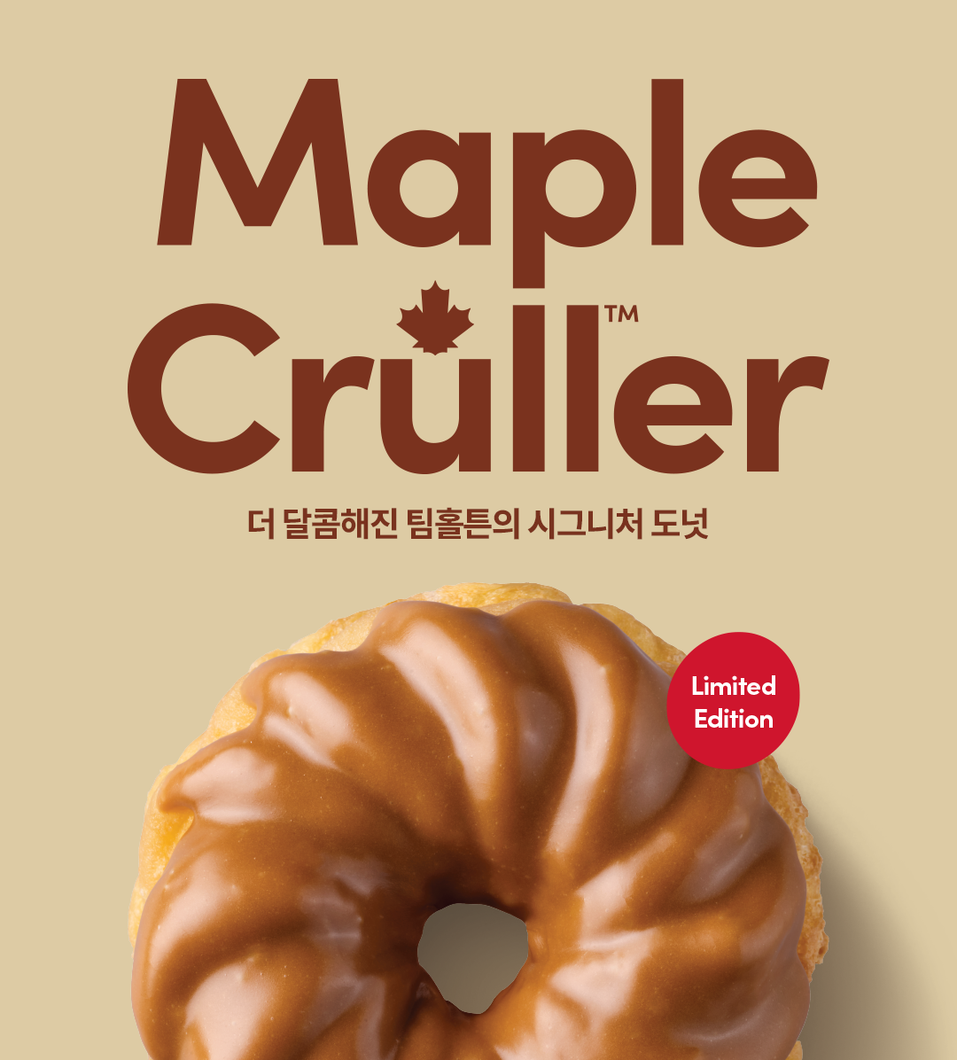  팀홀튼 허니 크룰러 도넛 공식 출시