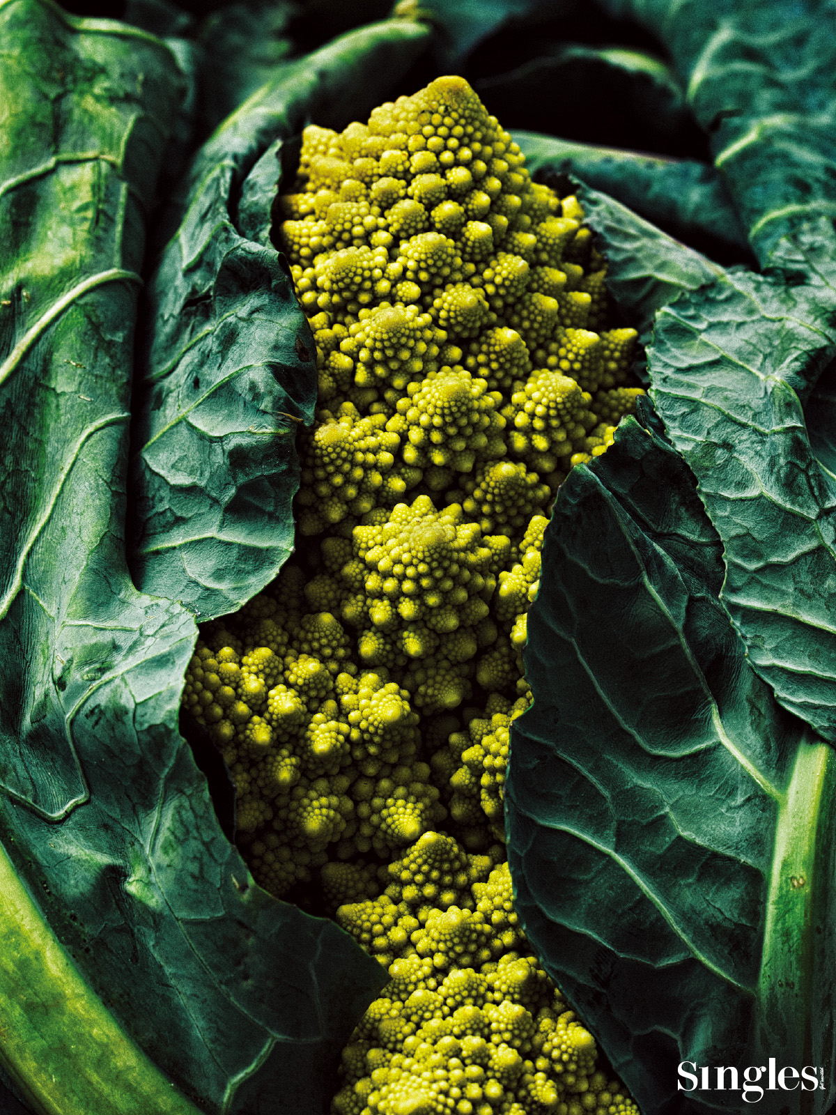 로마네스코 브로콜리