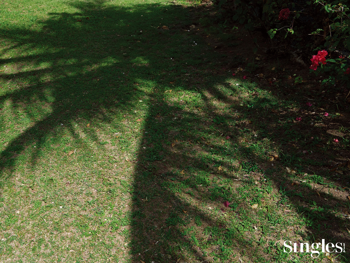 패션, 싱글즈 패션 화보, 토리버치, 사이판