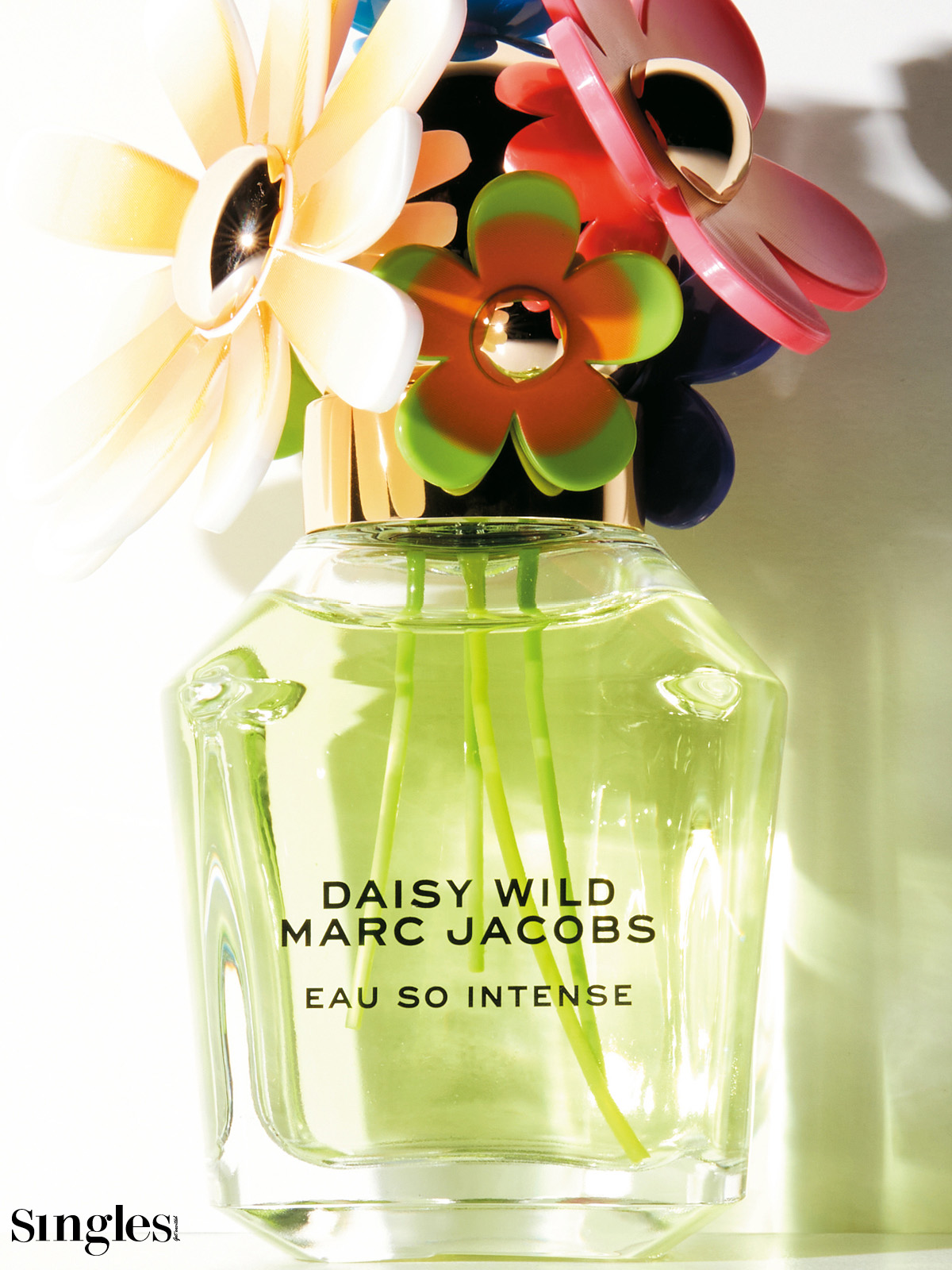 마크 케이콥스 데이지 와일드 오 쏘 인텐스