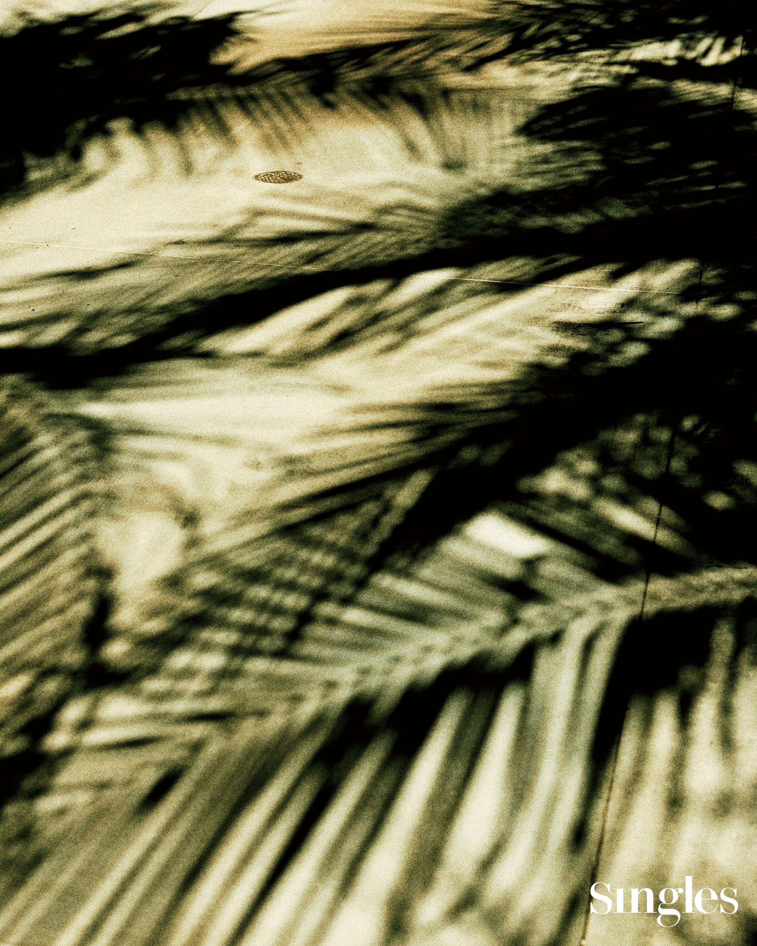 라이프스타일, 여름, 여름 사진, 곽기곤