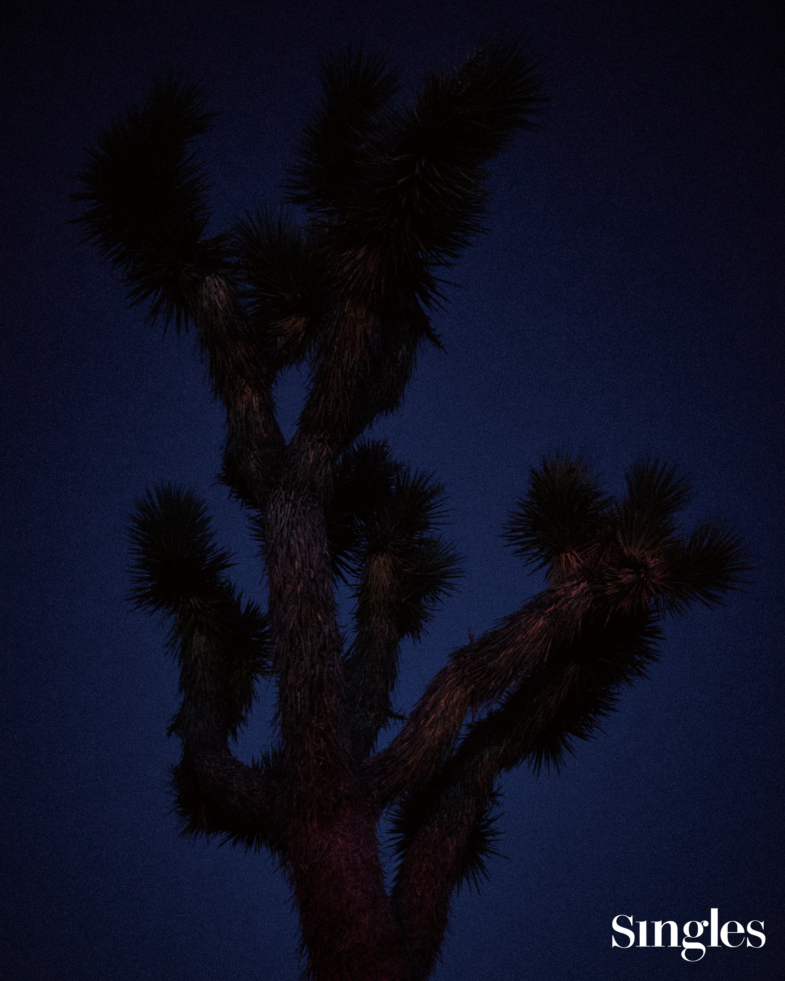 라이프스타일, 여름, 여름 사진, 곽기곤