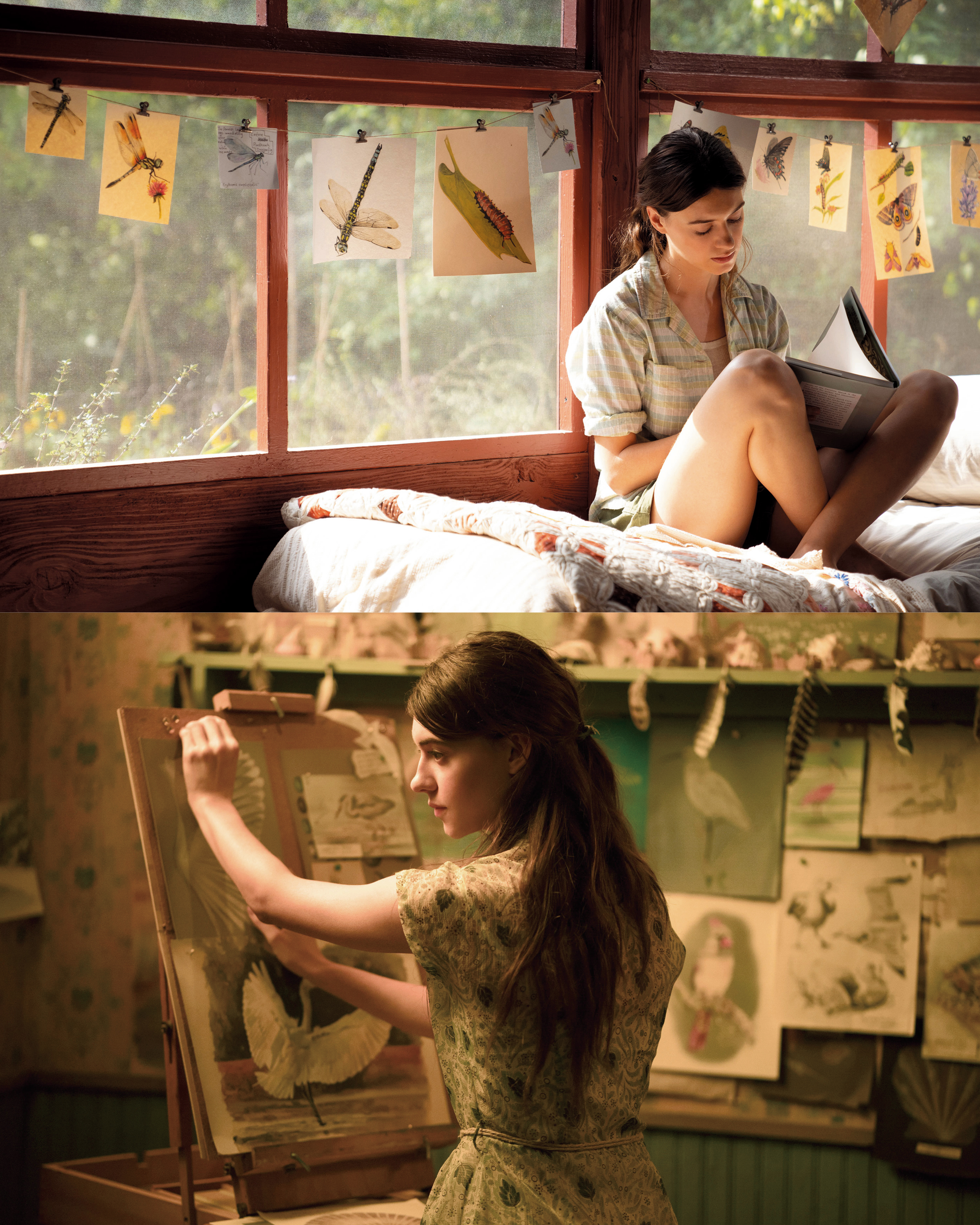 가재가 노래하는 곳