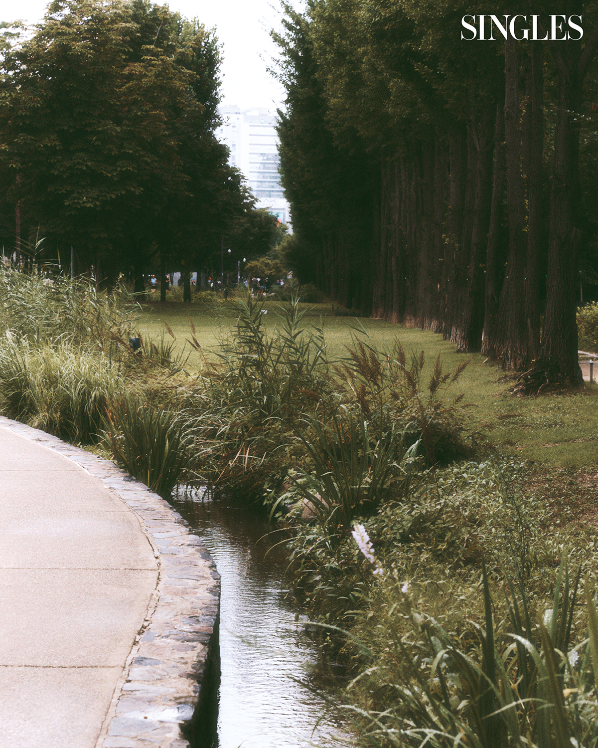 경의선숲길을 따라 이어진 연남끝길의 이미지