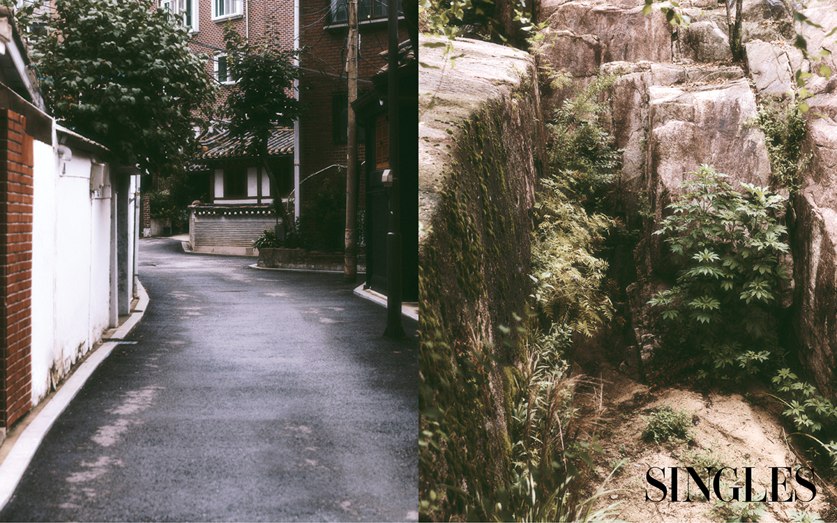 수성동계곡을 향하는 길