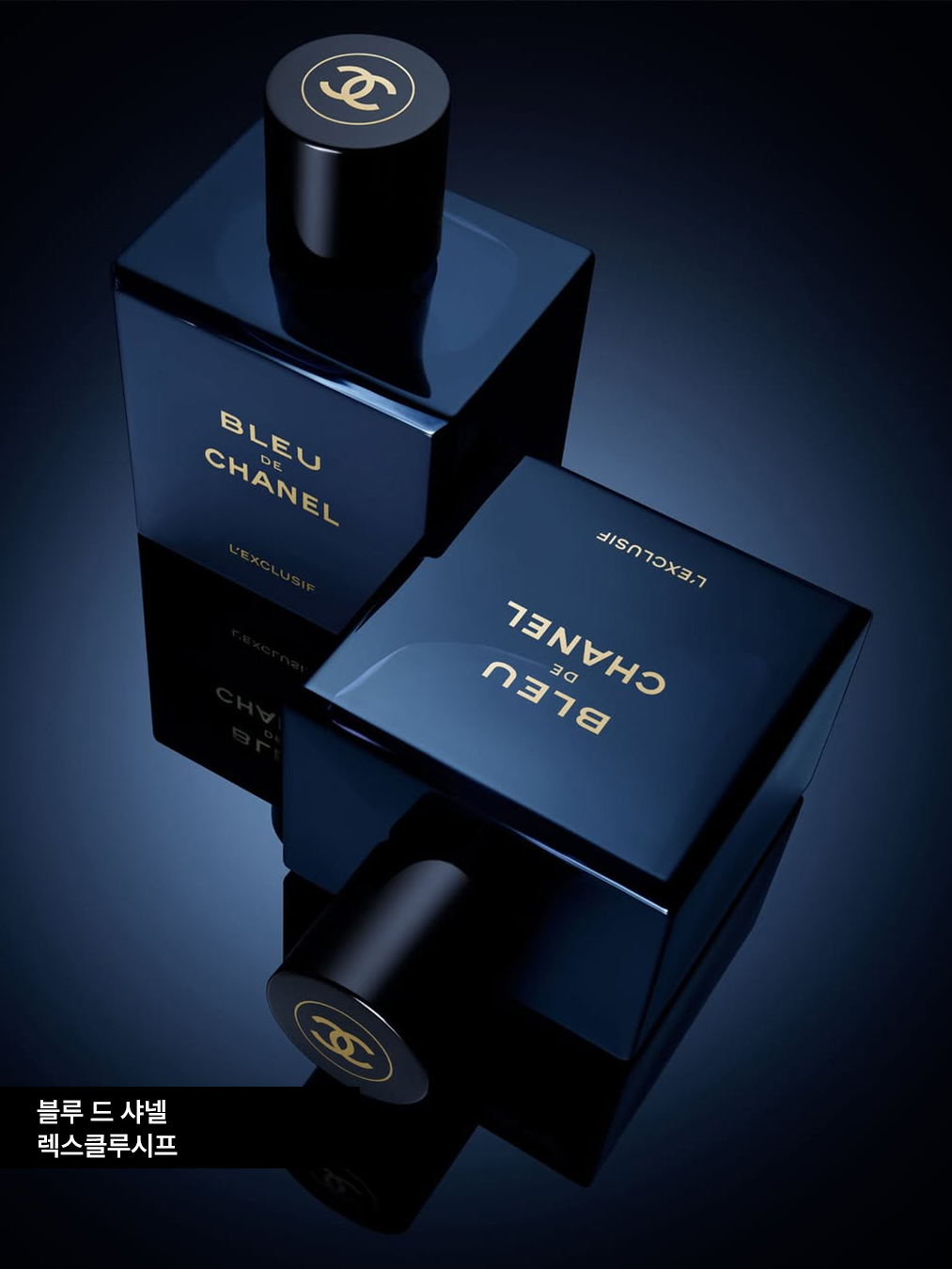 블루 드 샤넬 렉스클루시프