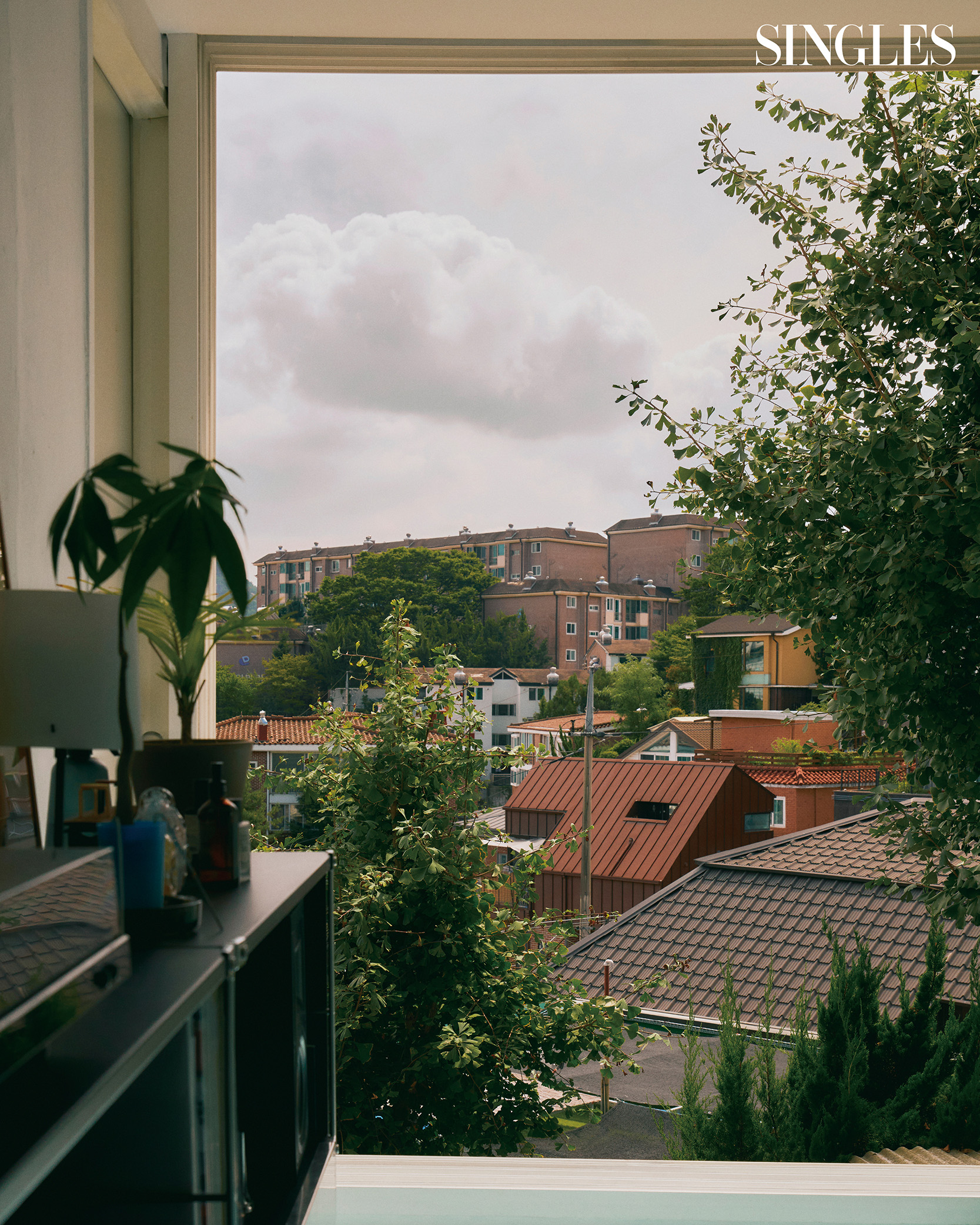 전중섭 집의 뷰