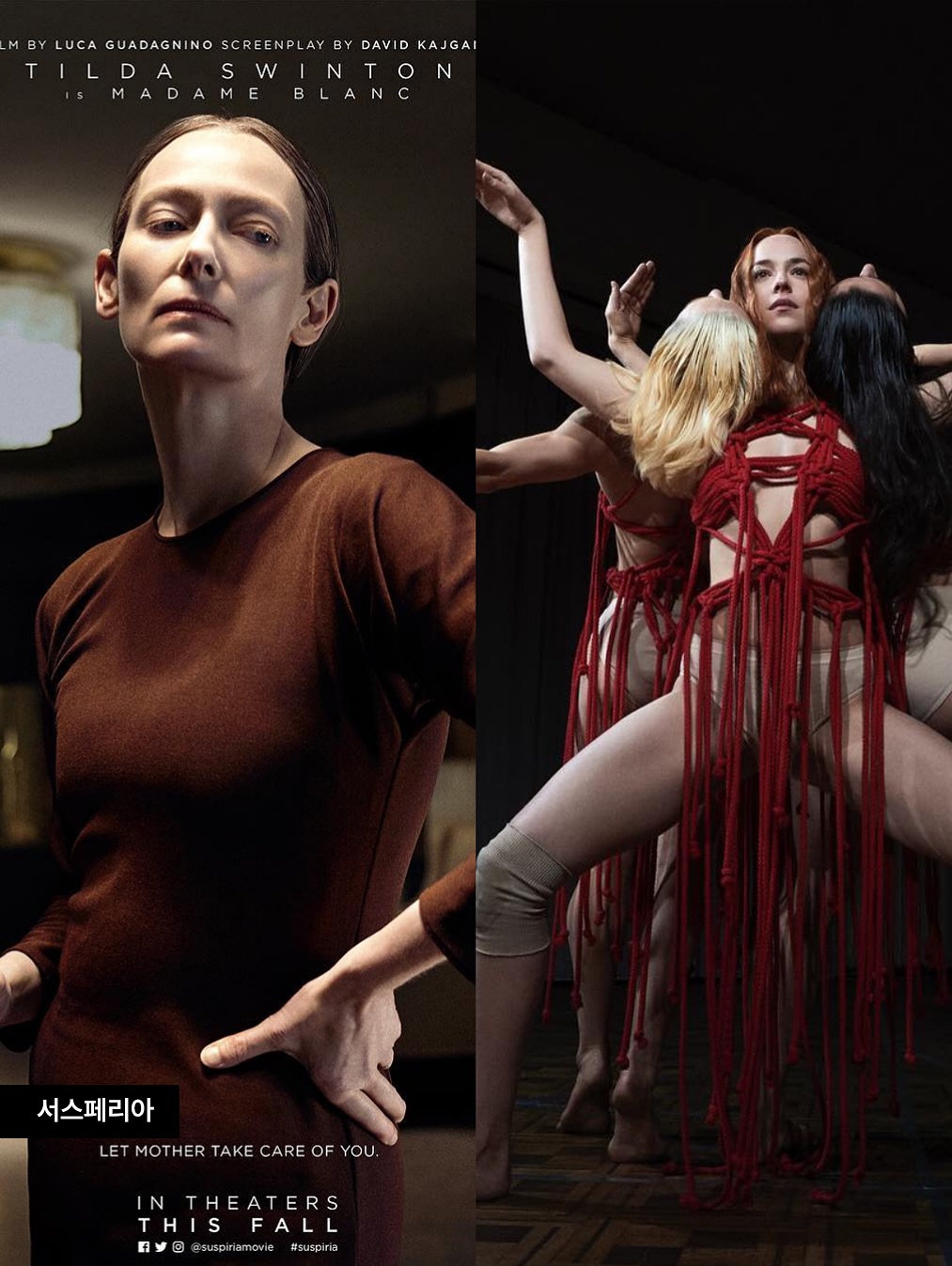 영화 서스페리아