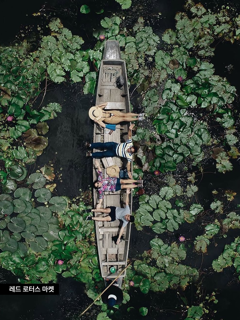 레드 로터스 마켓