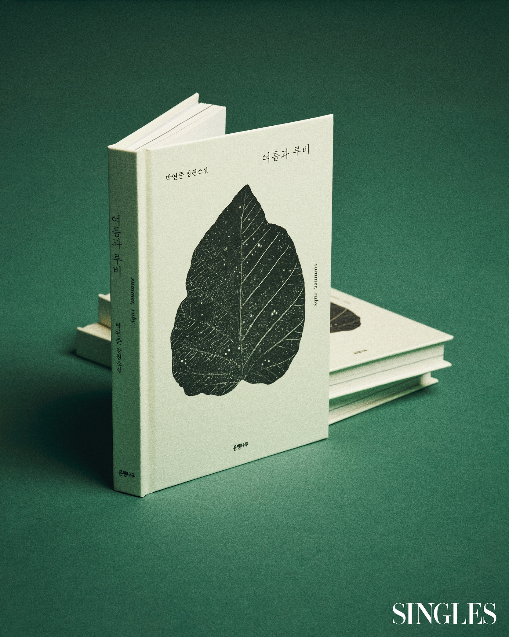 박연준 장편소설 여름과 루비 책이미지