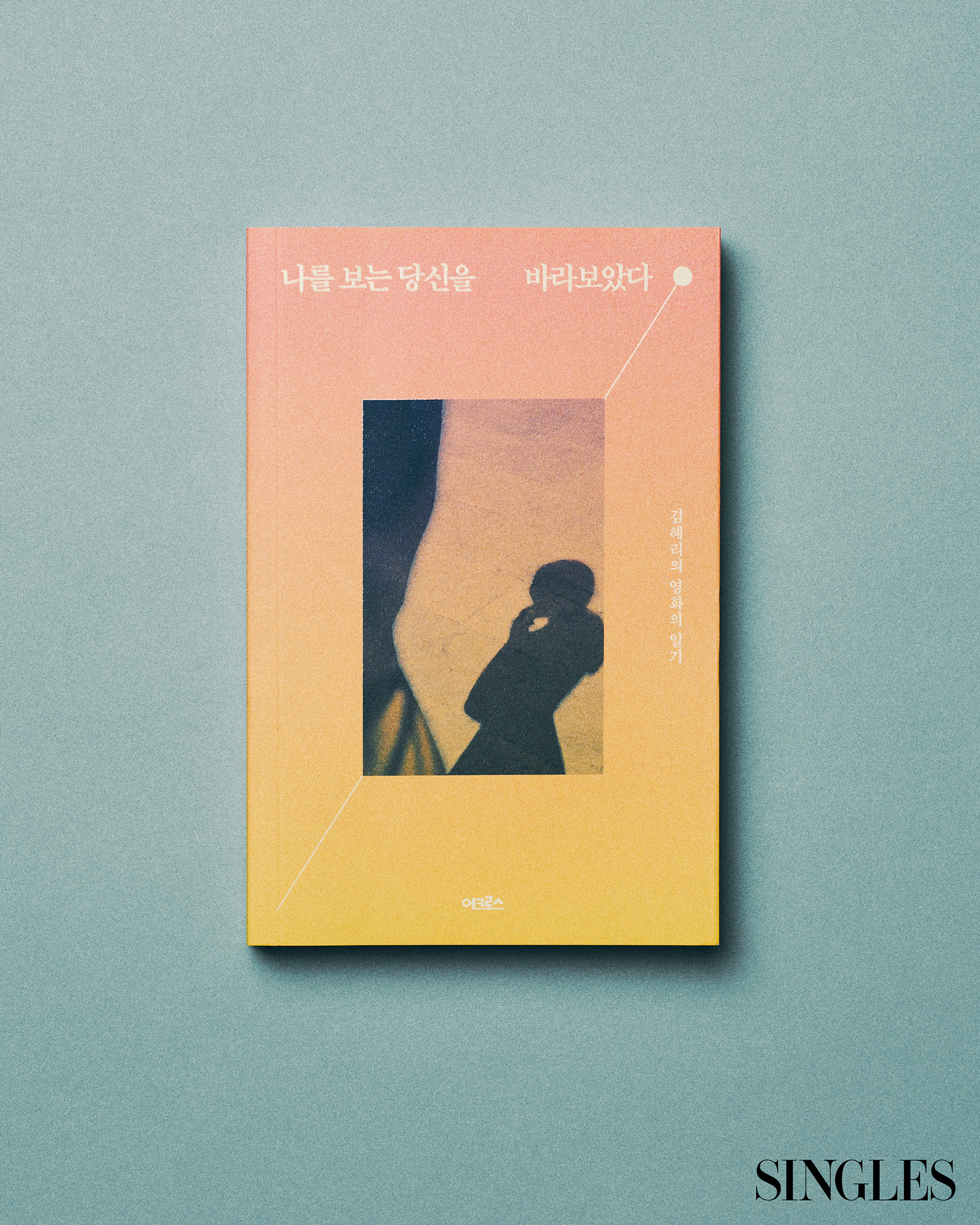 김혜리의 나를 보는 당신을 보았다. 책이미지