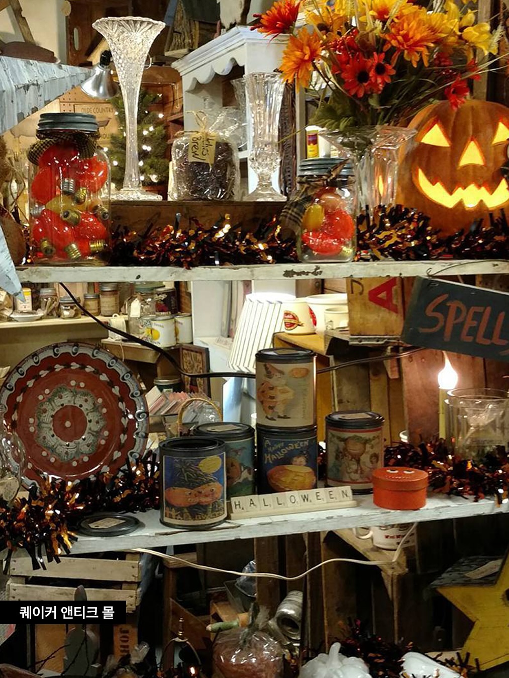 벅스카운티 전경