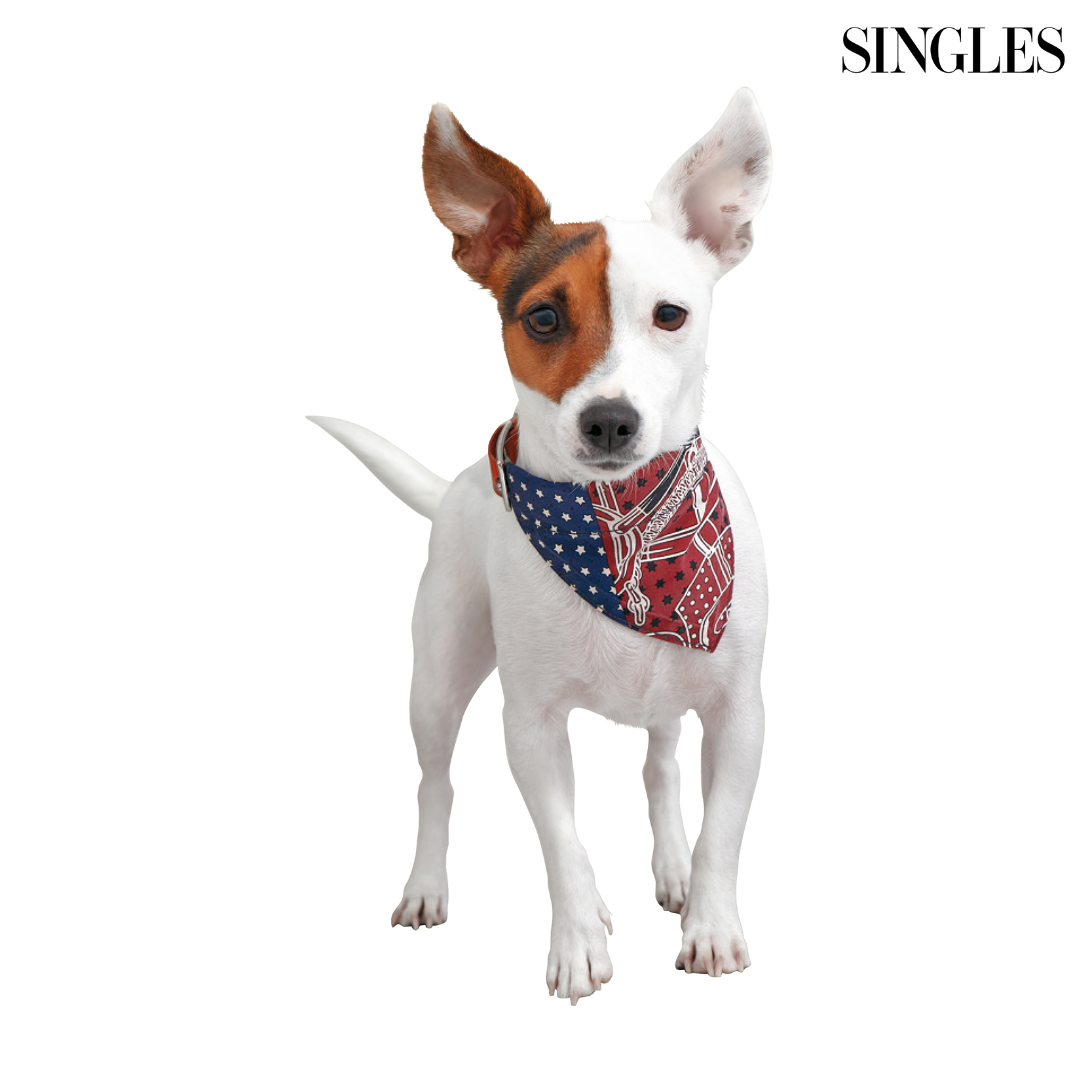 에르메스의 에프롱 도르 패턴 반다나