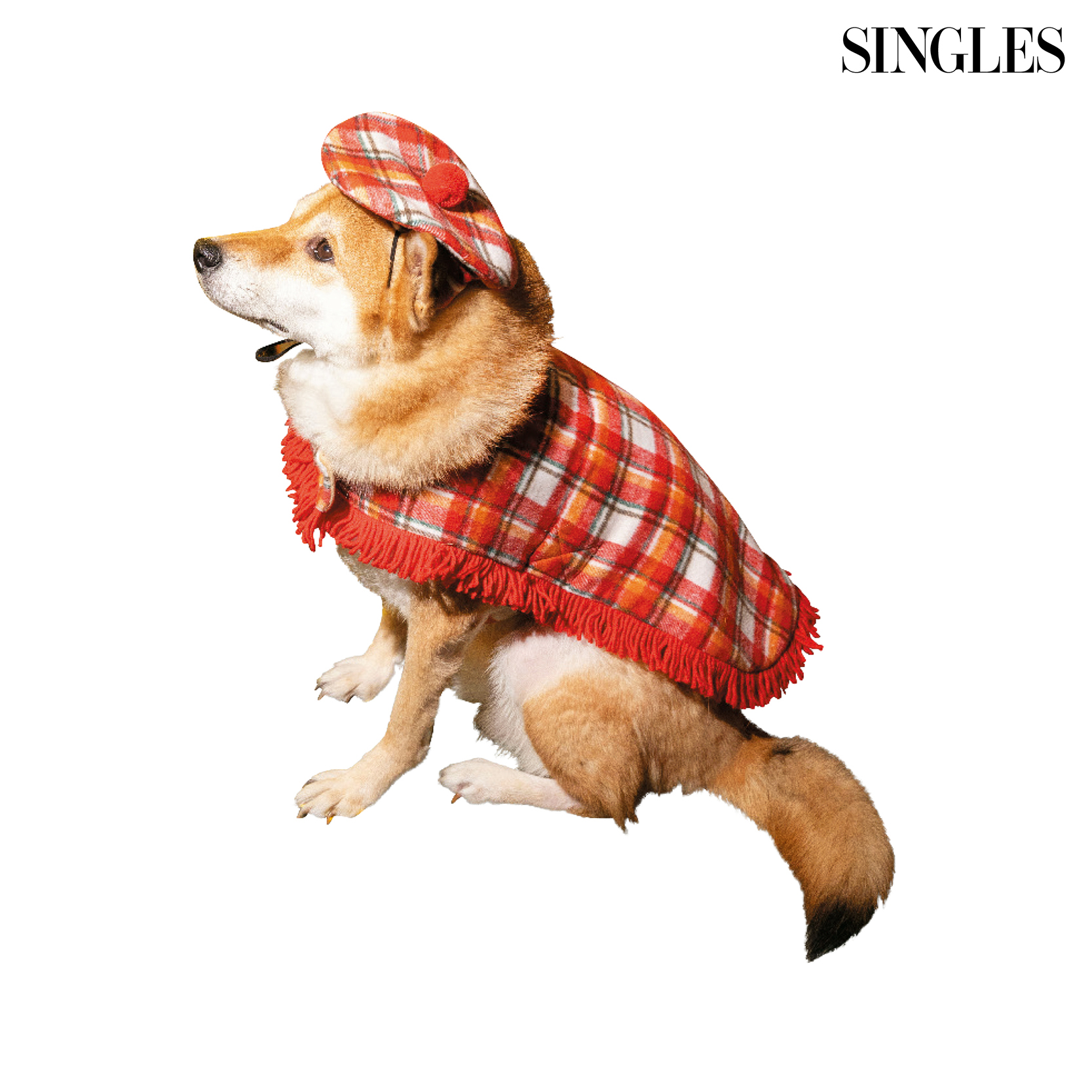 누누숨의 베레모 