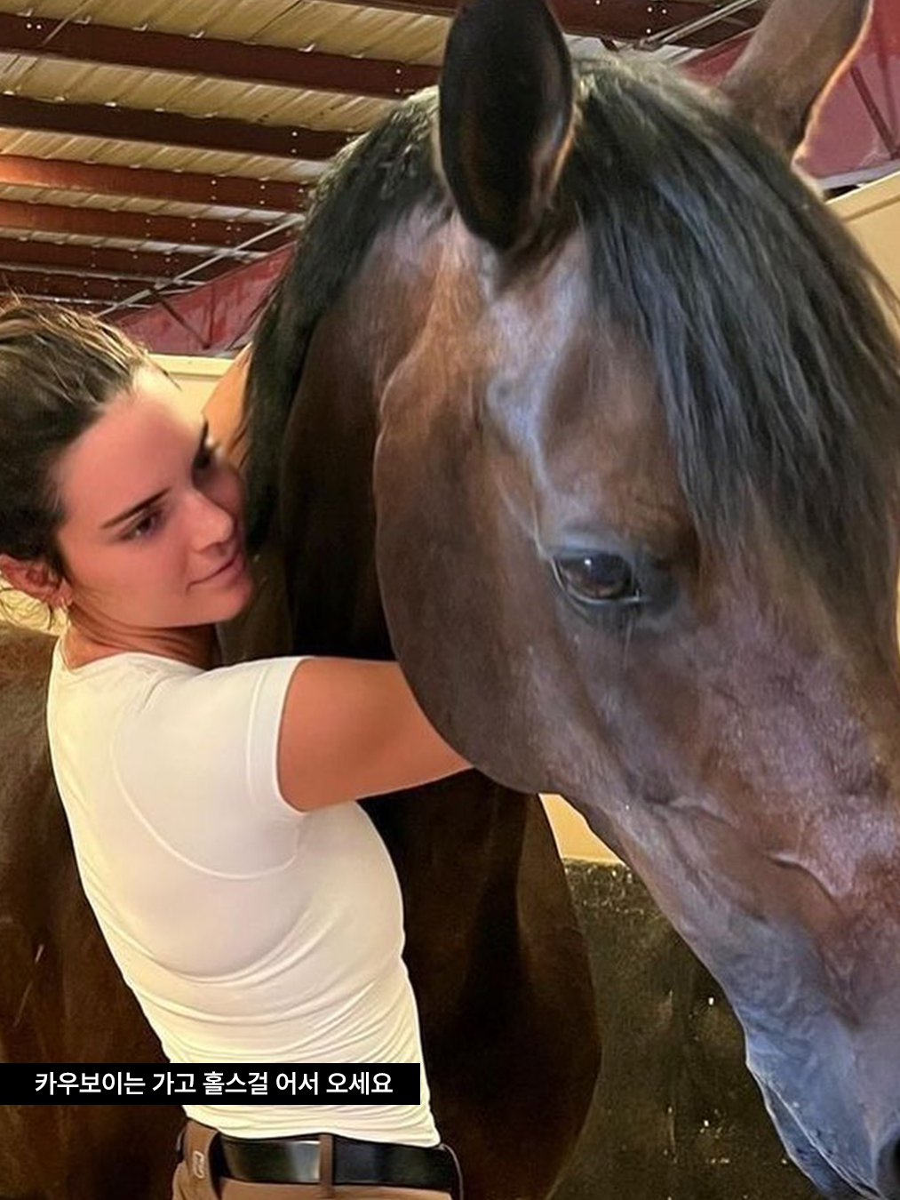 켄달 제너가 말을 안고 있는 사진 이퀘스트리언 무드