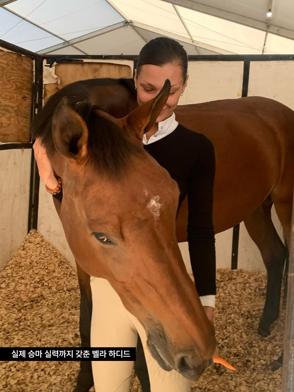 이퀘스트리언 무드 스타일링을 한 벨라 하디드 말을 안고 있는 사진