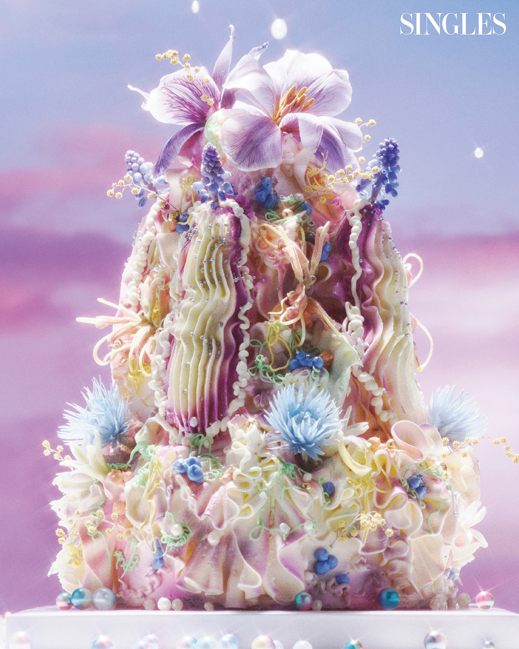 미소바케카케의 디자인 케이크