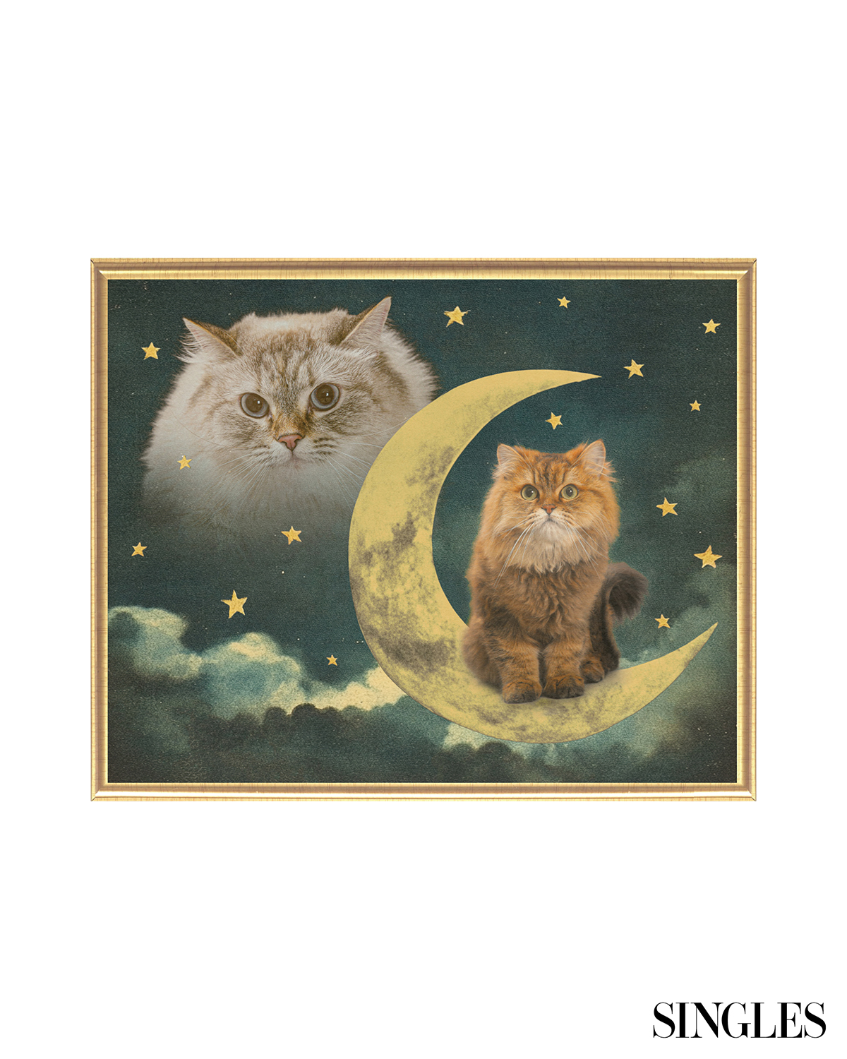 ⓒ Bora’s Photo Shop, 달나라 고양이들.