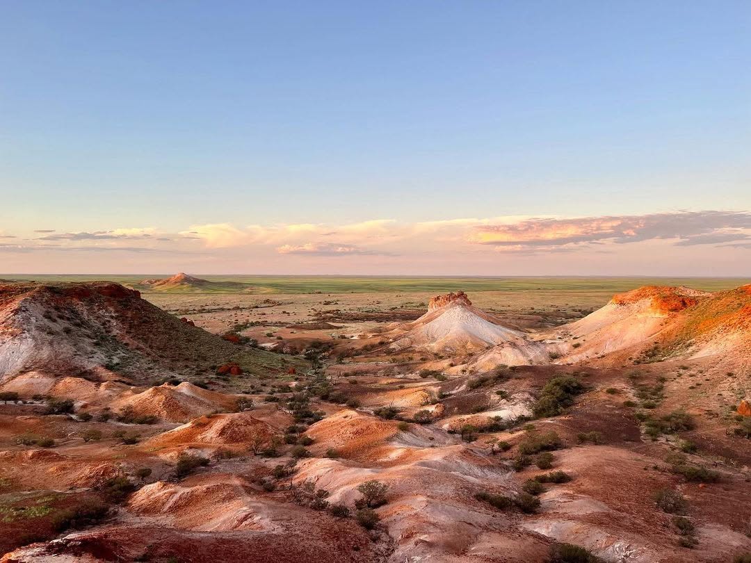 이미지 출처 : 인스타그램 @cooberpedysa