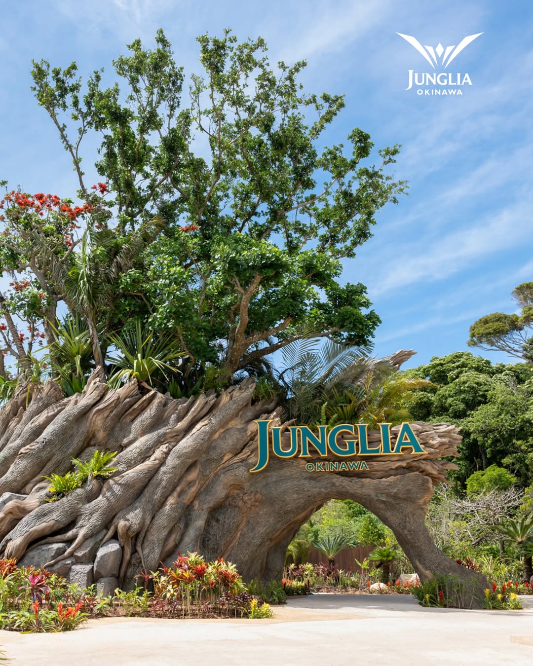 이미지 출처 : 정글리아 오키나와 인스타그램 @junglia_okinawa_official
