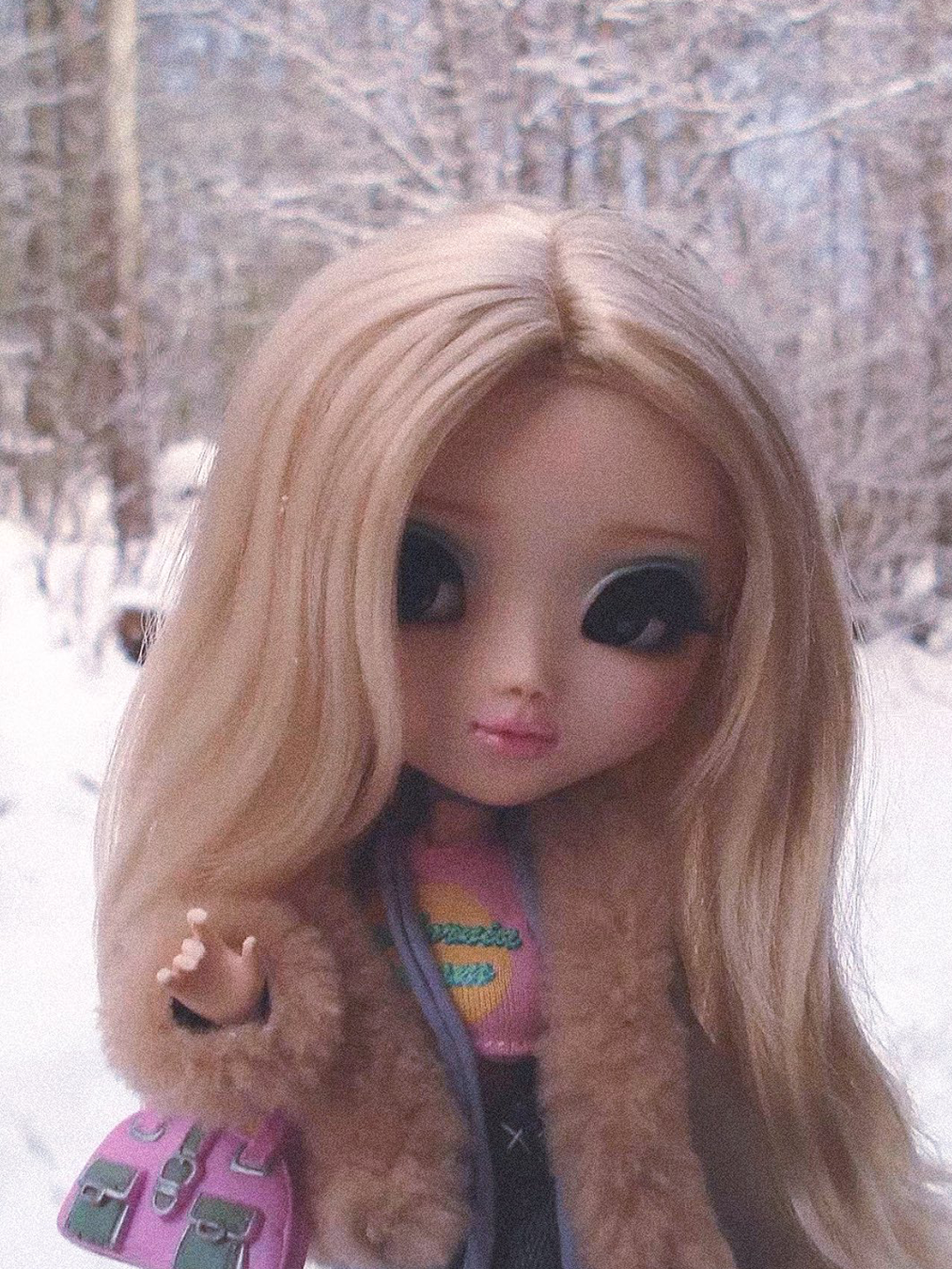 푸리프(pullip)인형 사진