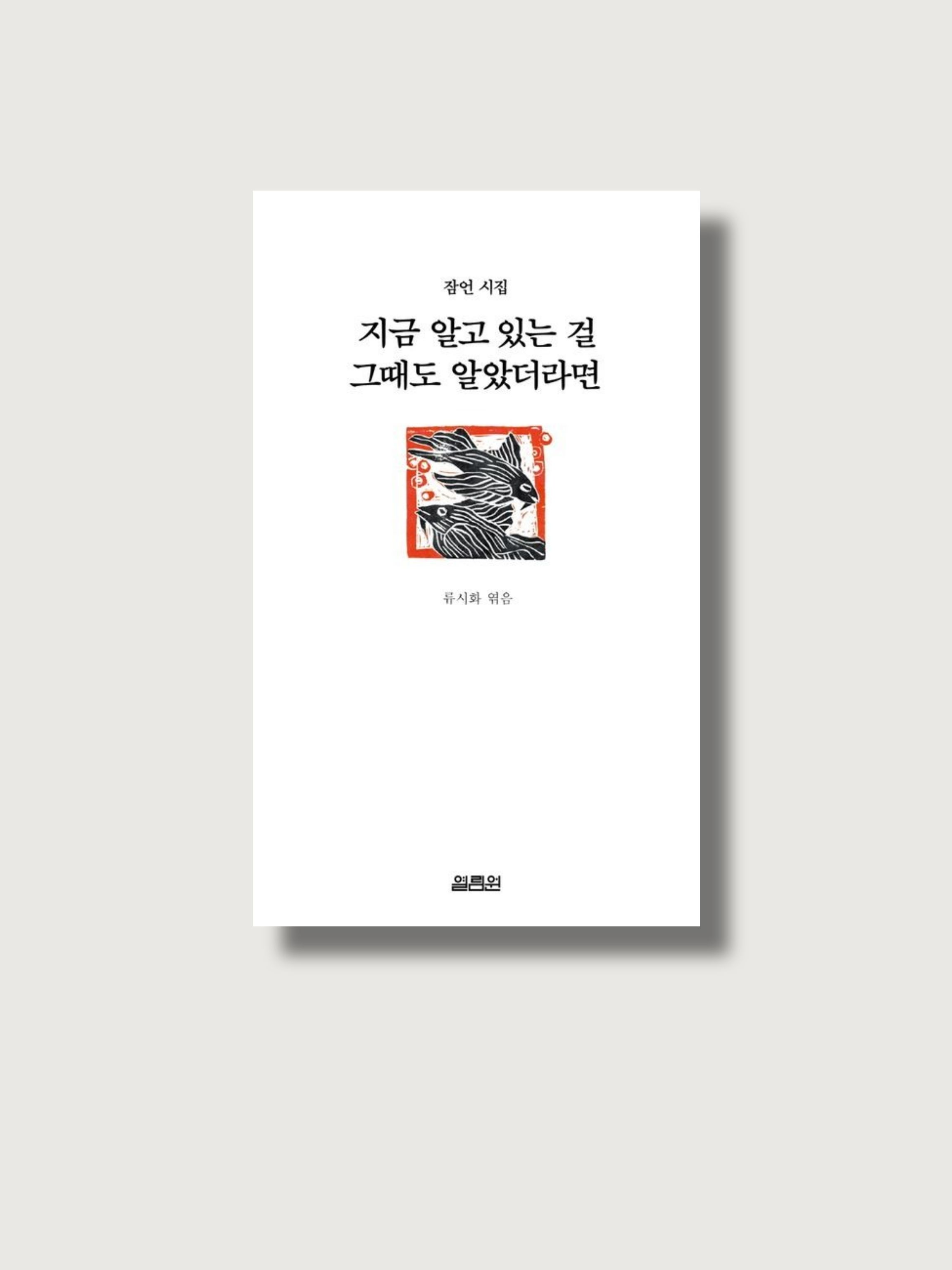류시화의 시집 <지금 알고 있는 걸 그때도 알았더라면> 표지 사진