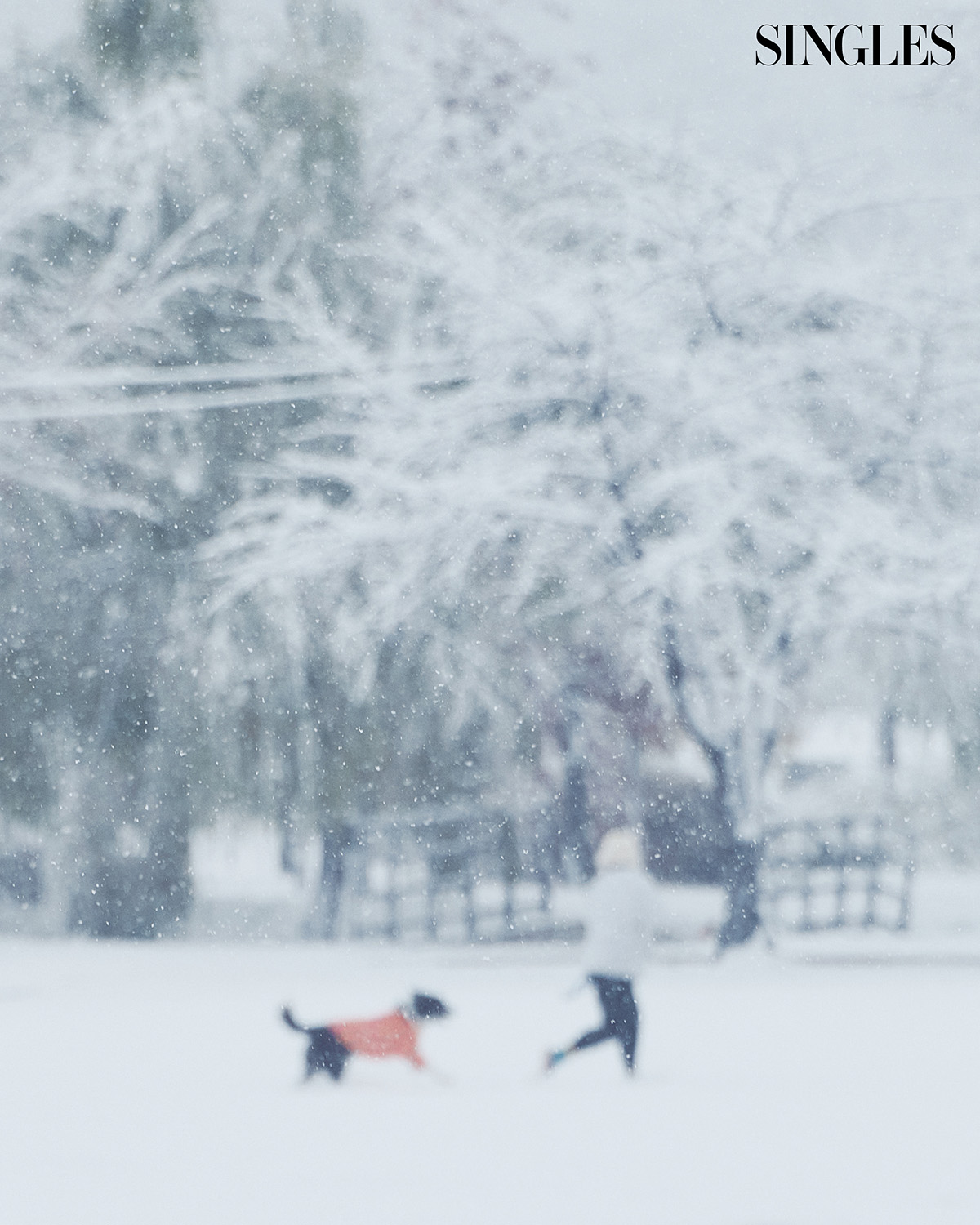 가성비 웰니스 실천법