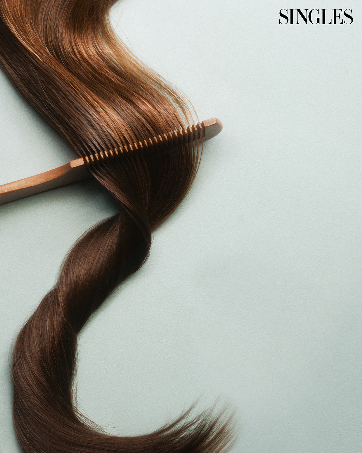 헤어 브러쉬 이미지