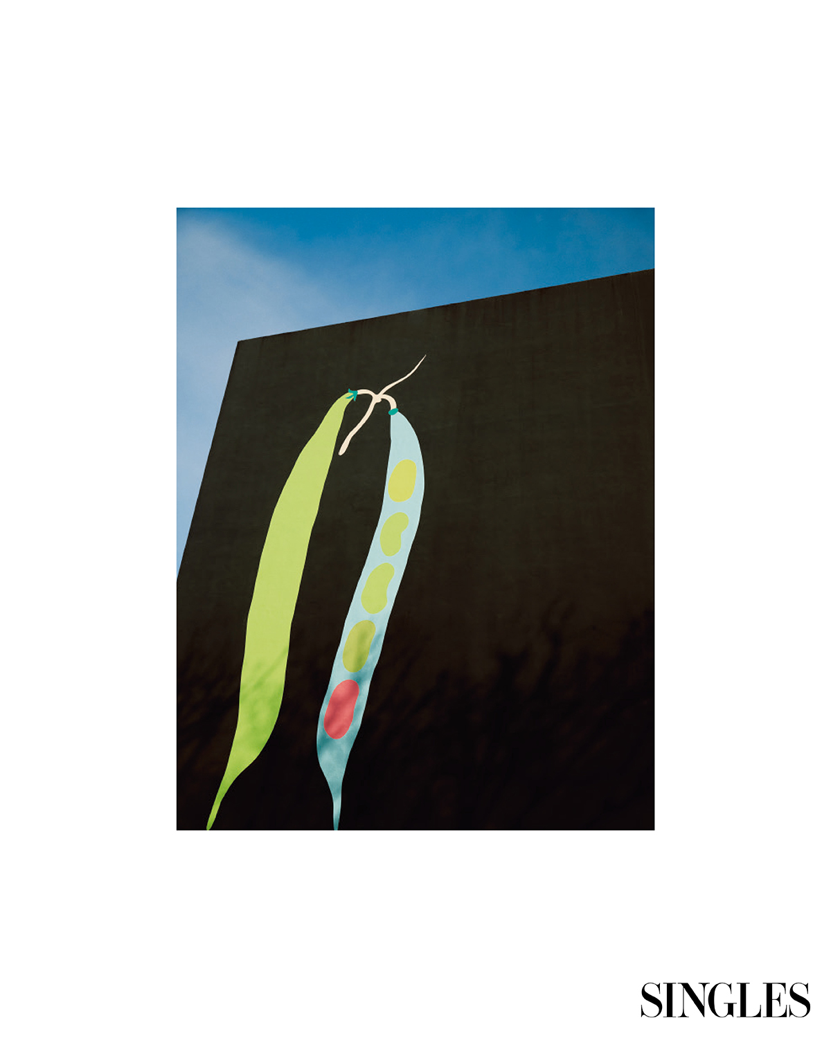 갤러리 외벽의 블랙 파사드