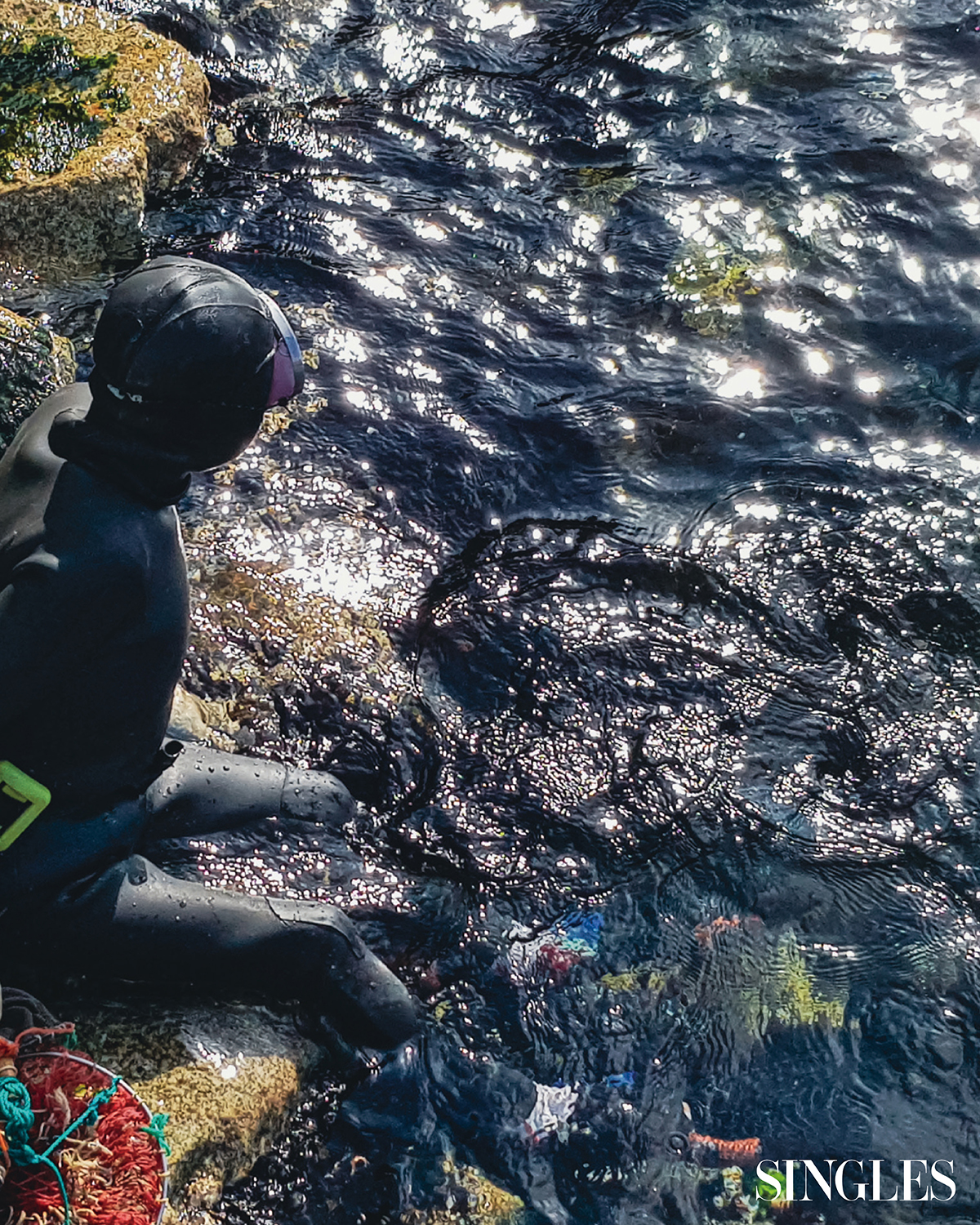 석호 로컬 푸드 이미지